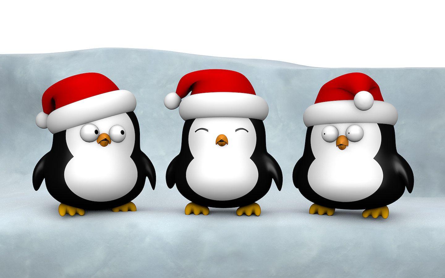 christmas penguin desktop wallpaper
