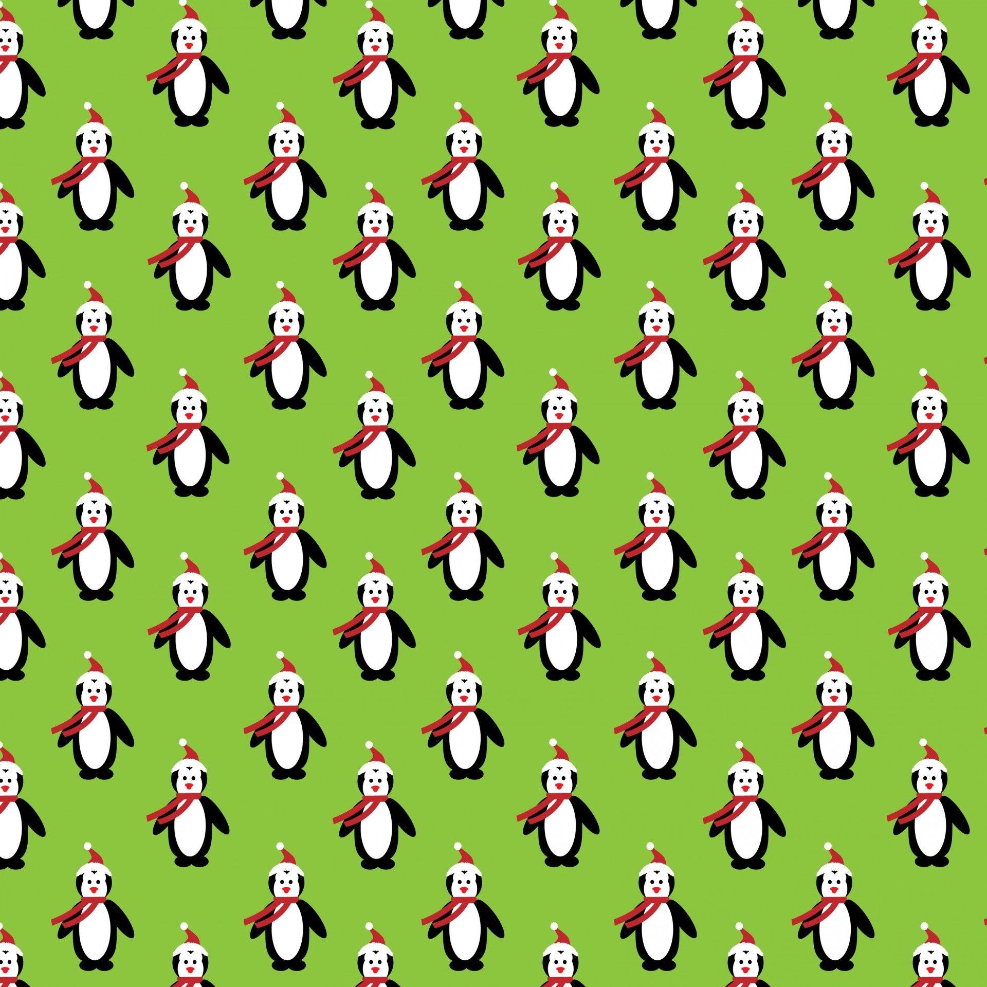 1920x1920 Christmas Penguin Wallpaper