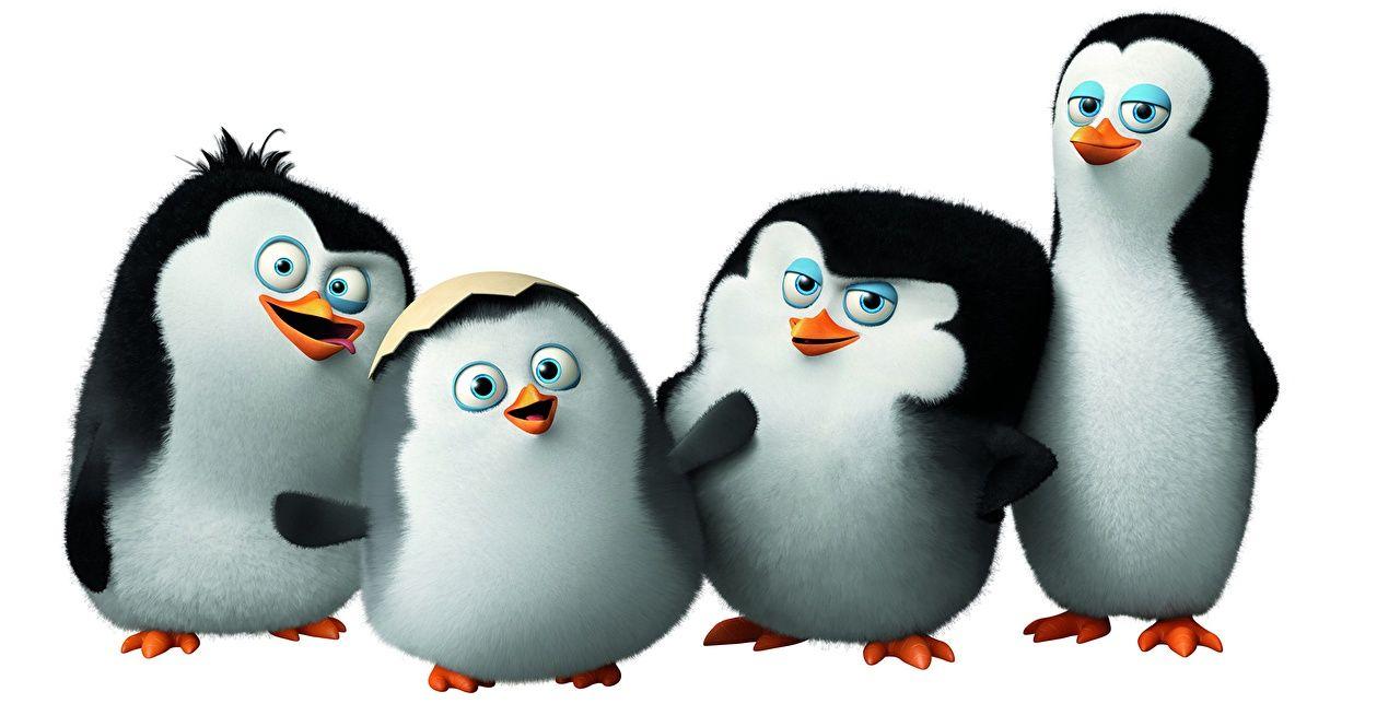 1280x665 Wallpaper animal Penguins of Madagascar 2014 Four 4 Cartoons