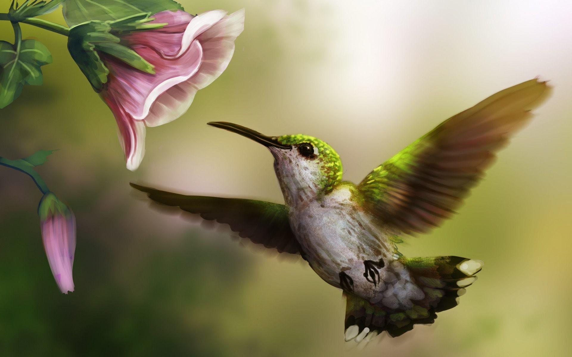 Buy TV Screen Wallpaper 5 Hummingbirds 169 Ratio Computer Online in India   Etsy