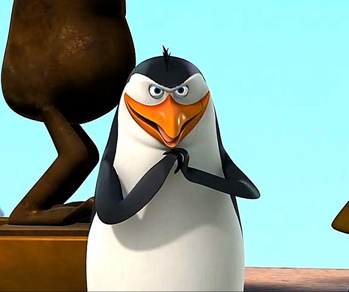 1151x961 The Penguins of Madagascar Rico Cartoon HD Wallpaper