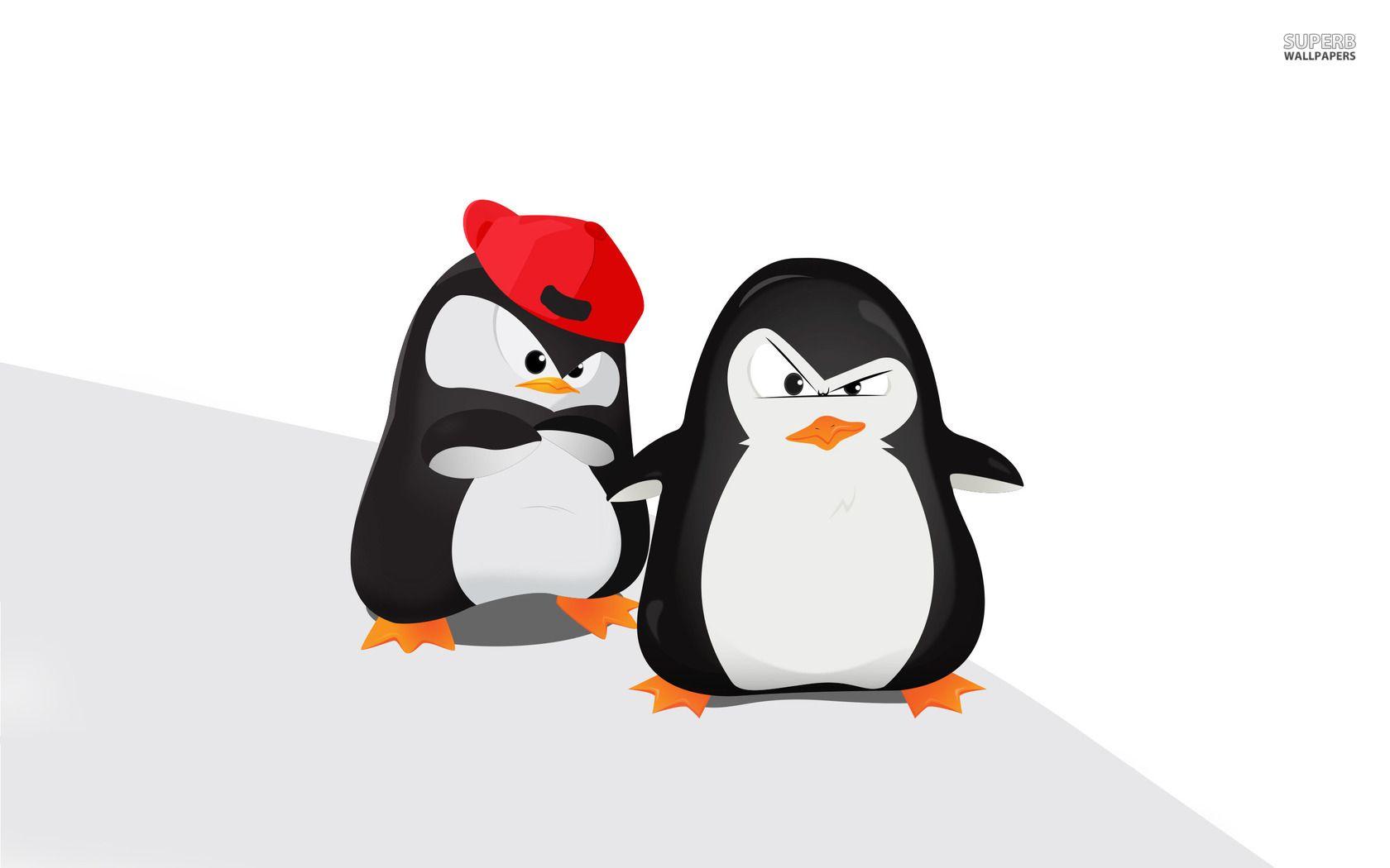 Cartoon Penguin Wallpapers - Top Free Cartoon Penguin Backgrounds