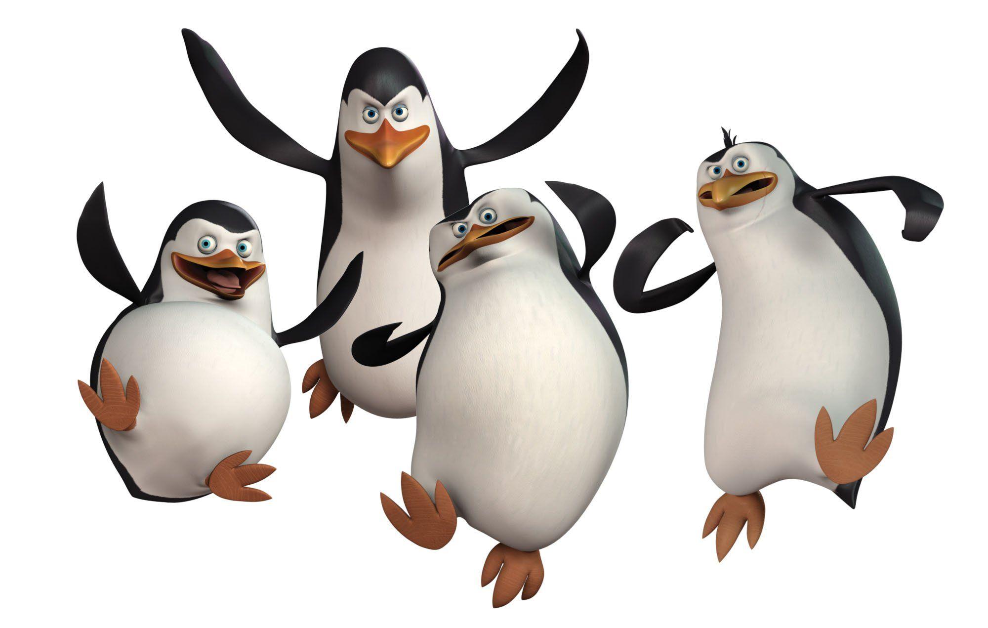 2000x1271 Pics of a cartoon penguin wallpaper