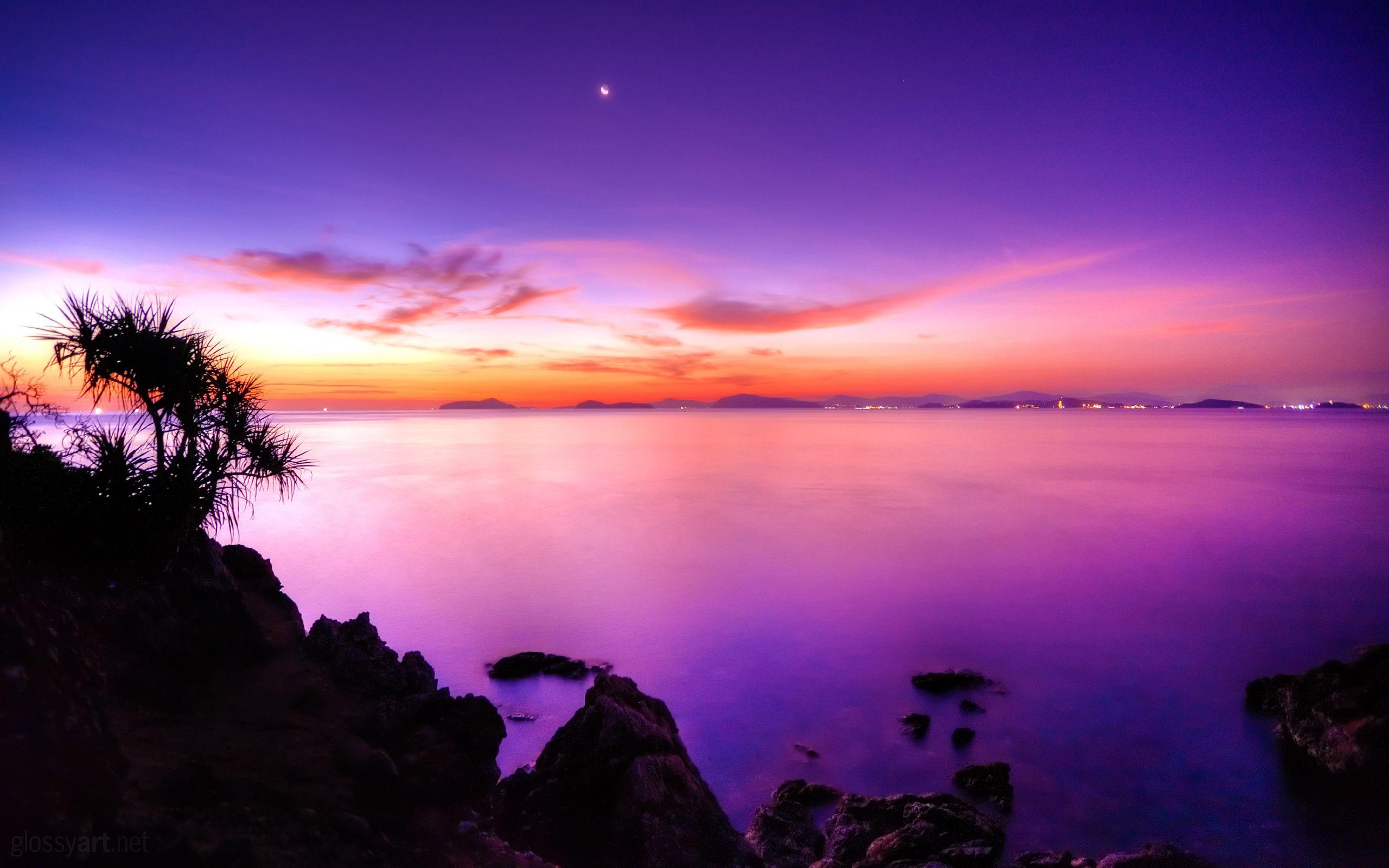 2560x1600 Purple Sunset Wallpaper