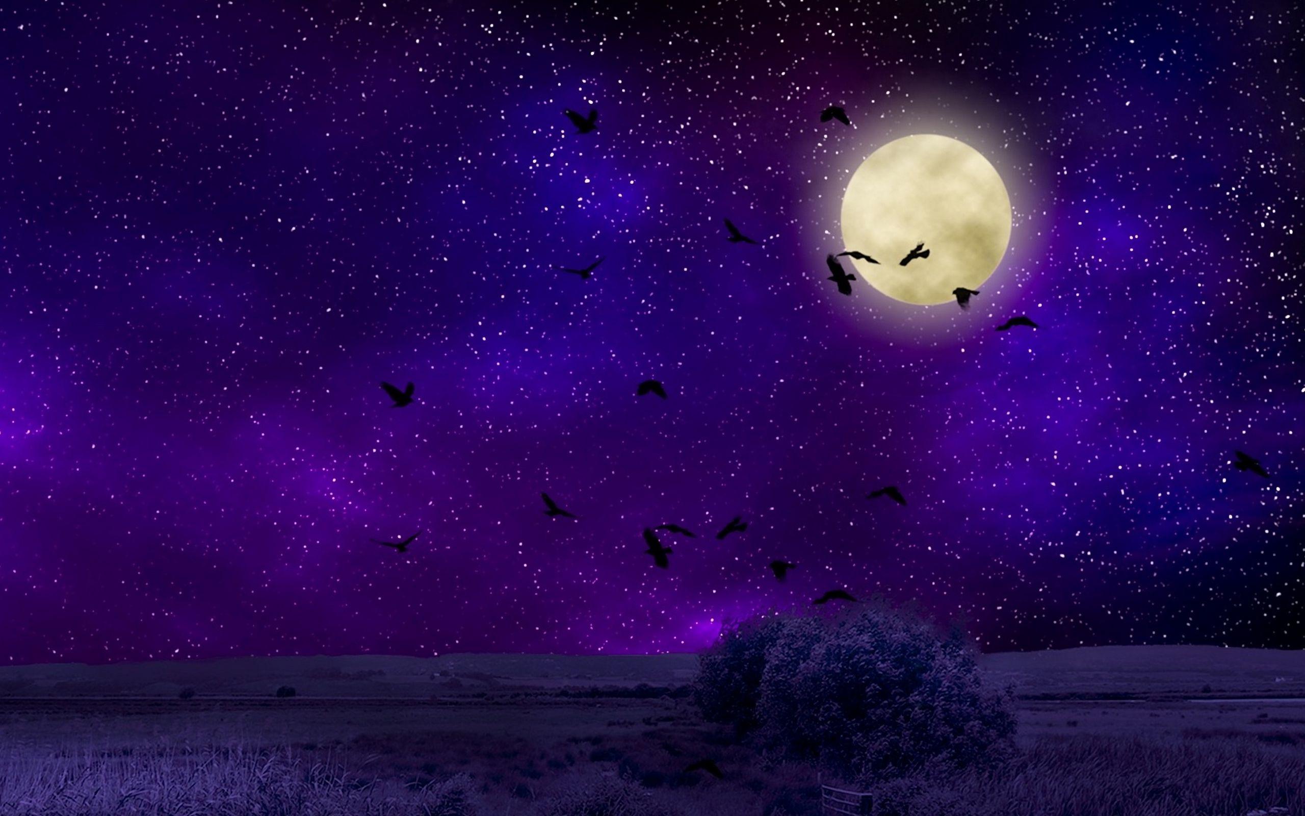 Purple Moonlight Wallpapers - Top Free Purple Moonlight Backgrounds -  WallpaperAccess