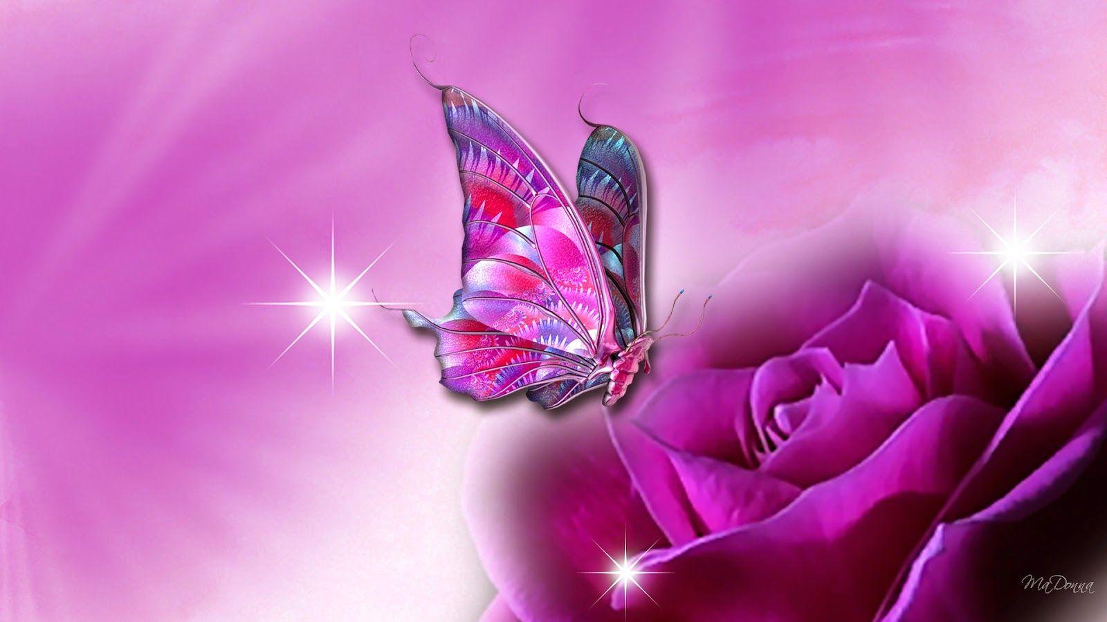 1600x900 Pink Butterfly On Purple Flower Wallpaper