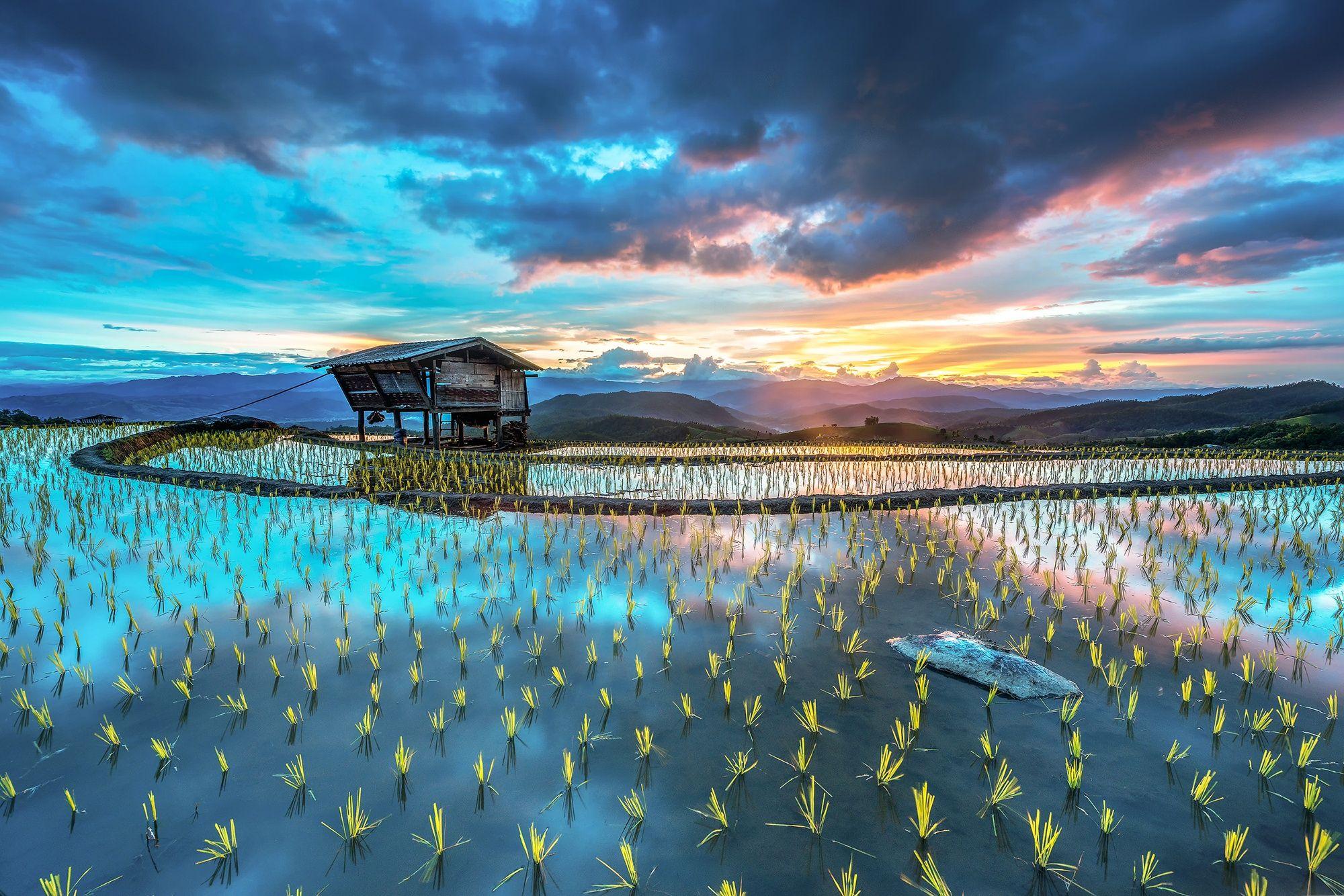 2000x1334 rice terraces, field, sky, blue, sunrise, hut, clouds, mountains, beautiful, water wallpaper