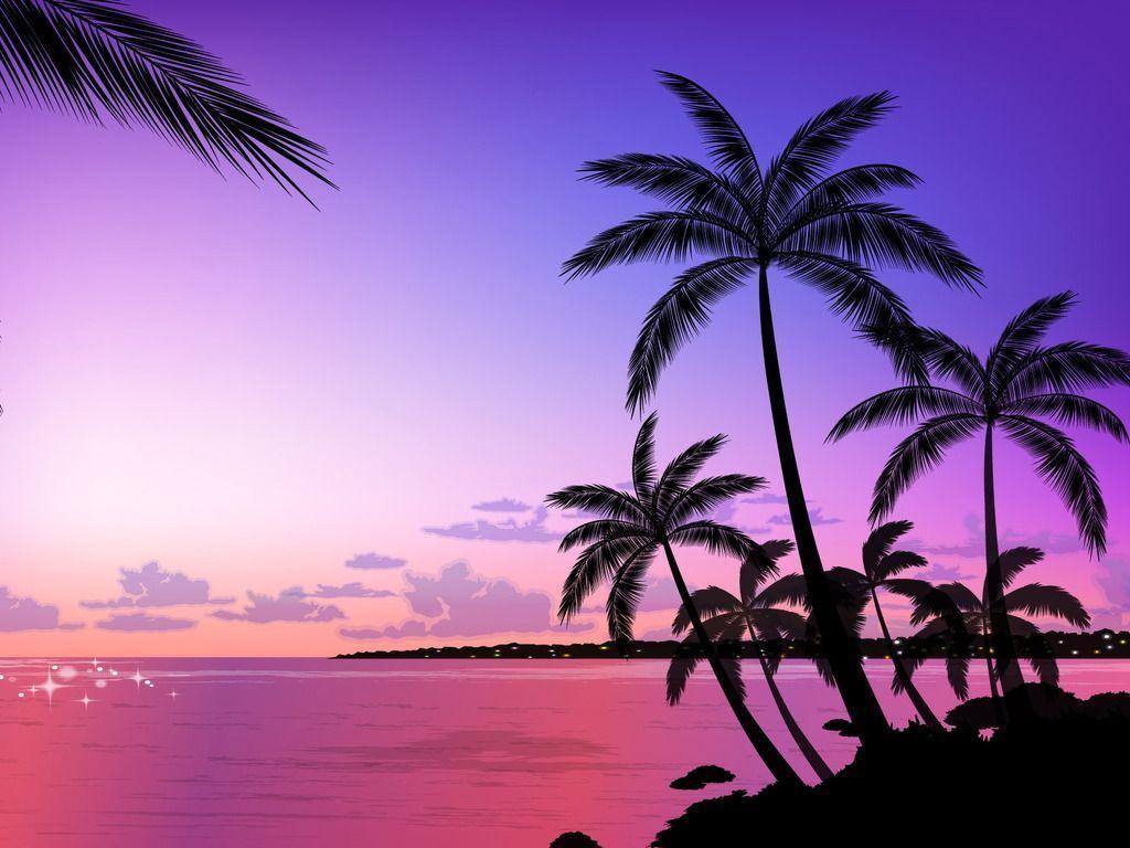 Purple Tropical Sunset Beach Wallpapers - Top Free Purple Tropical ...