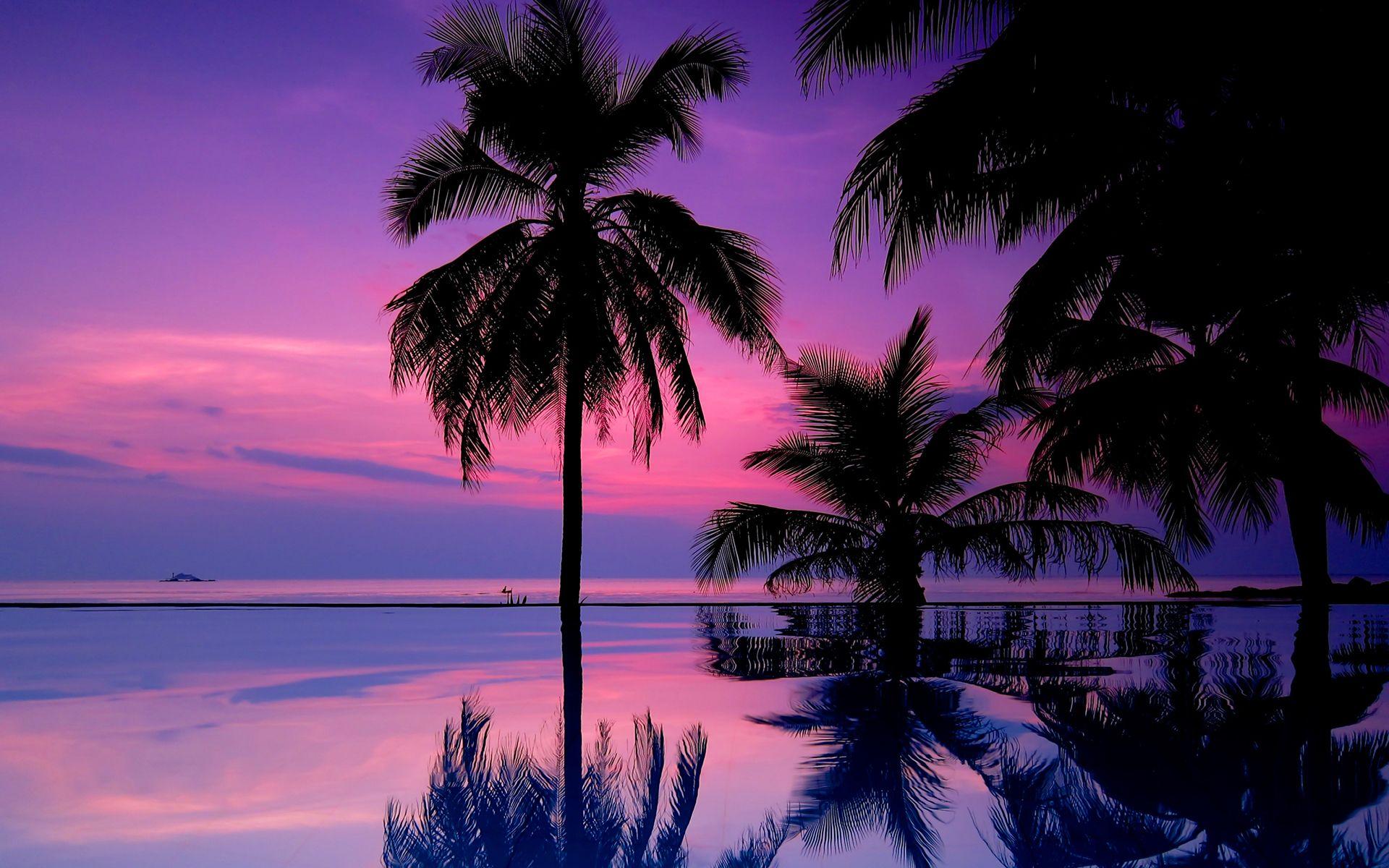 Purple Tropical Sunset Beach Wallpapers Top Free Purple Tropical Sunset Beach Backgrounds