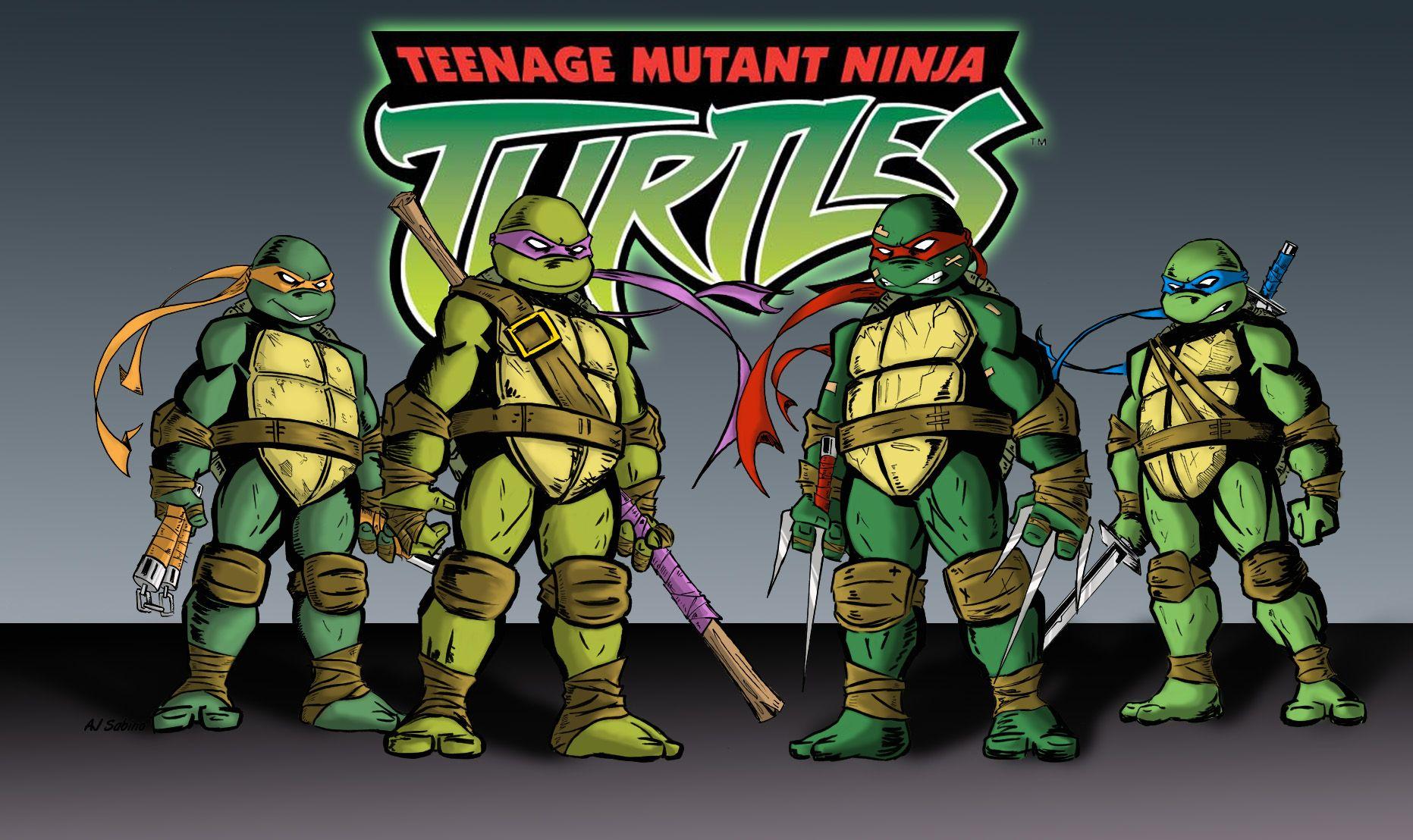 Teenage Mutant Turtles Cartoon Wallpapers Top Free Teenage Mutant