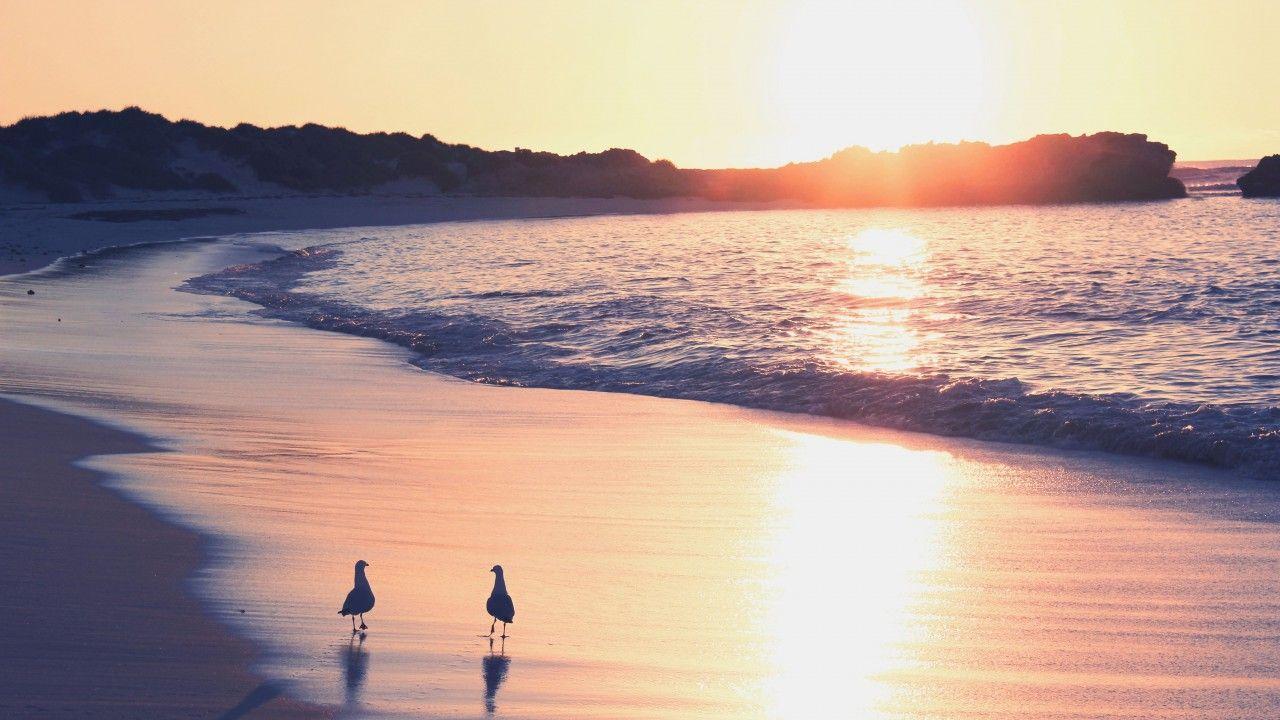 1280x720 Wallpaper Ocean, 5k, 4k wallpaper, sea, sunrise, shore