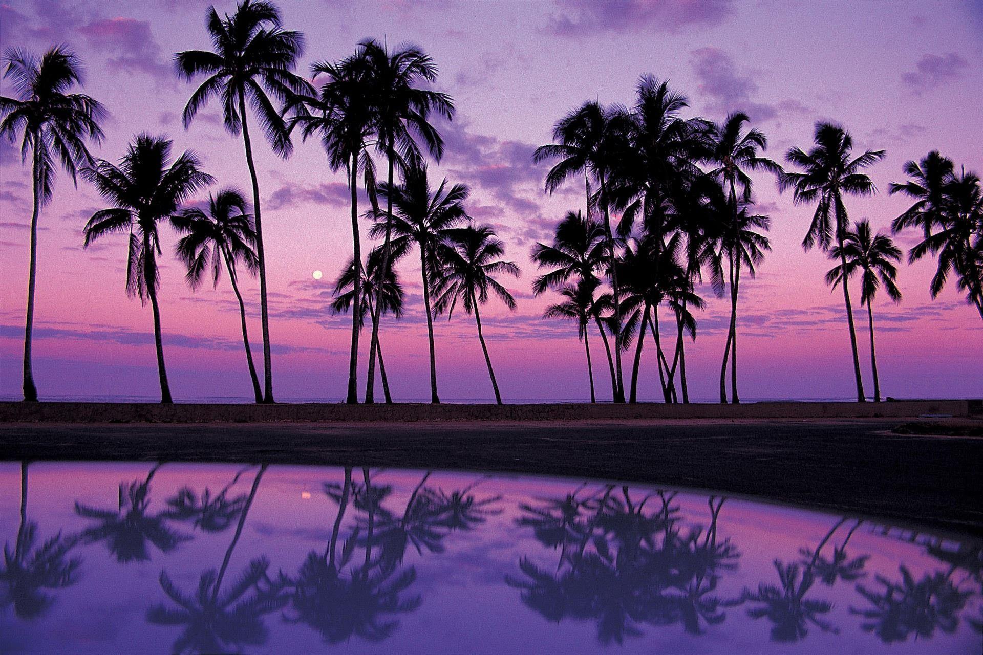 Ocean Purple Sunset Wallpapers Top Free Ocean Purple Sunset Backgrounds Wallpaperaccess