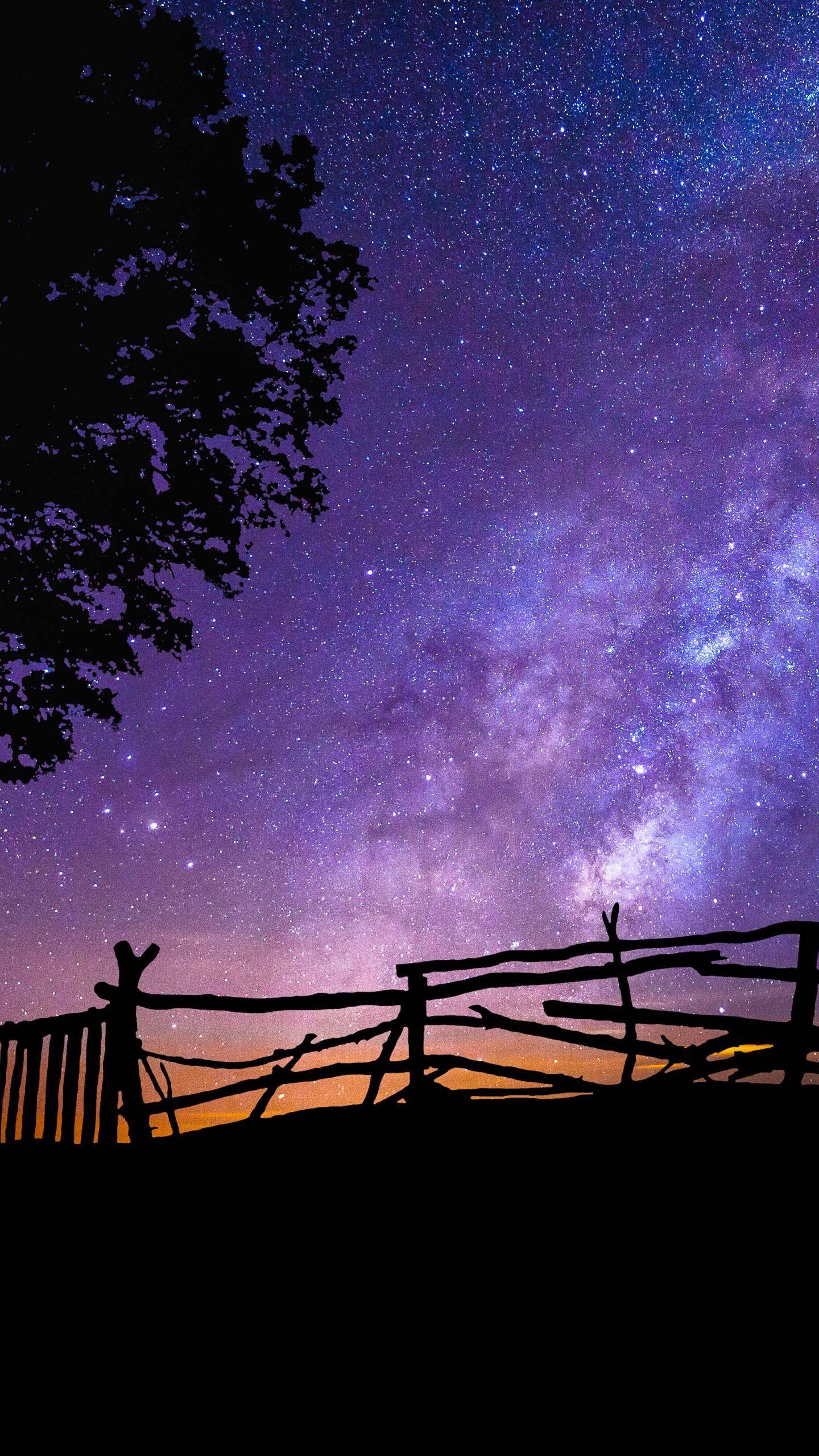 Purple Night Wallpapers Top Free Purple Night Backgrounds