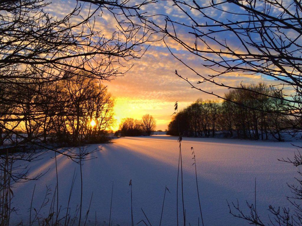 1024x768 Winter Morning Wallpaper HD for Free Download