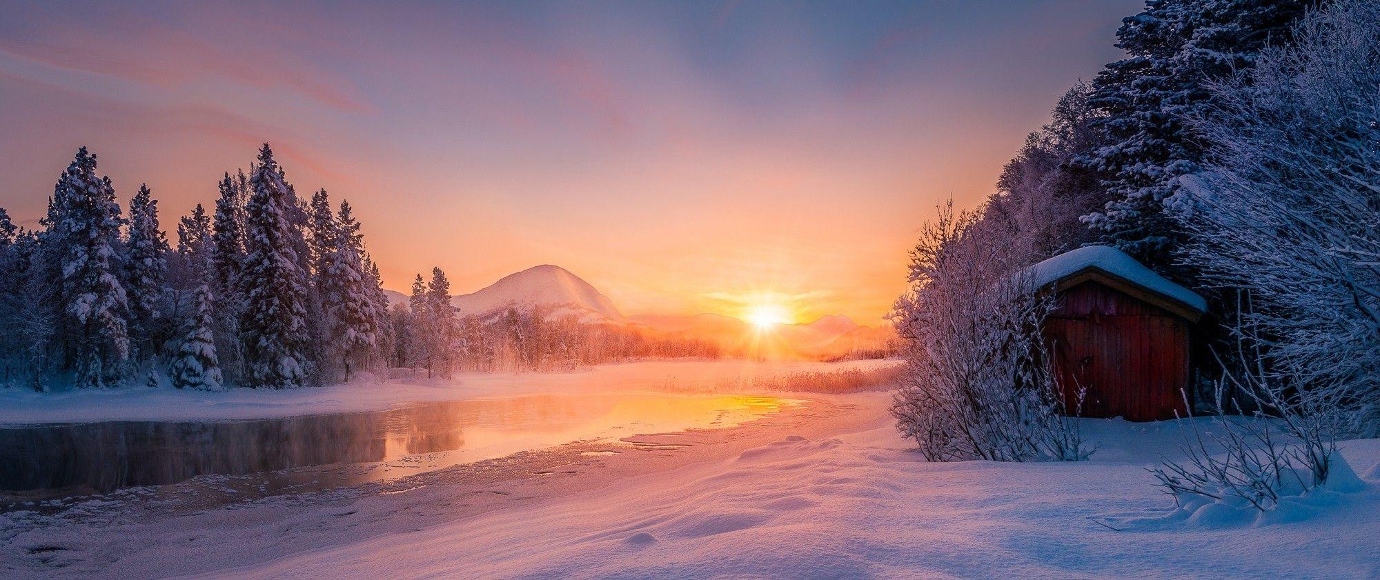 2000x841 Sunrise in the snowy forest wallpaper Gallery