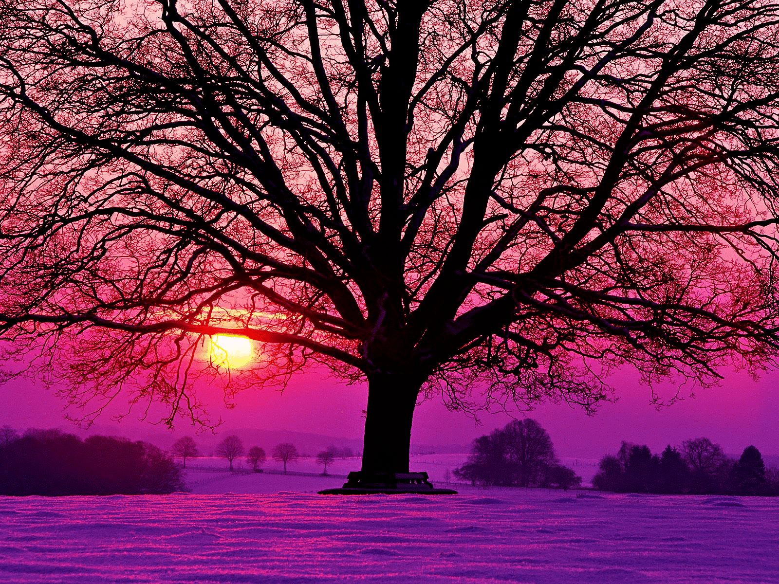 1600x1200 Winter Purple Sunset. Winter. Sunset wallpaper