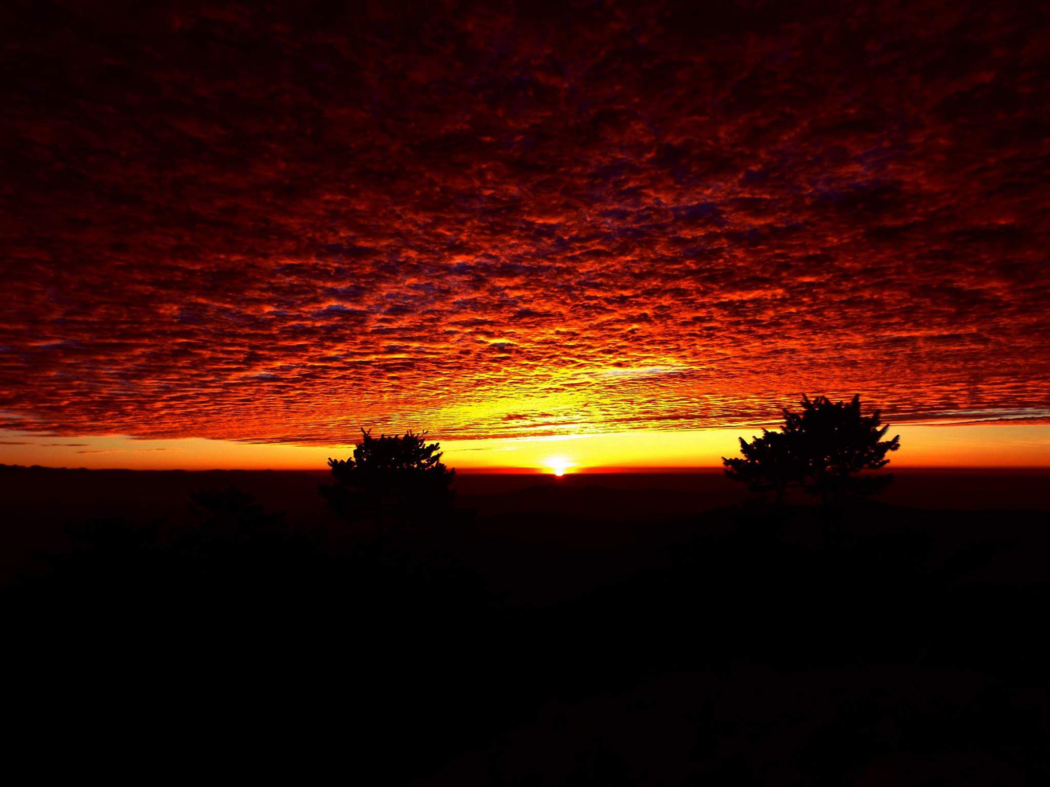 Red Sunrise Wallpapers - Top Free Red Sunrise Backgrounds - WallpaperAccess