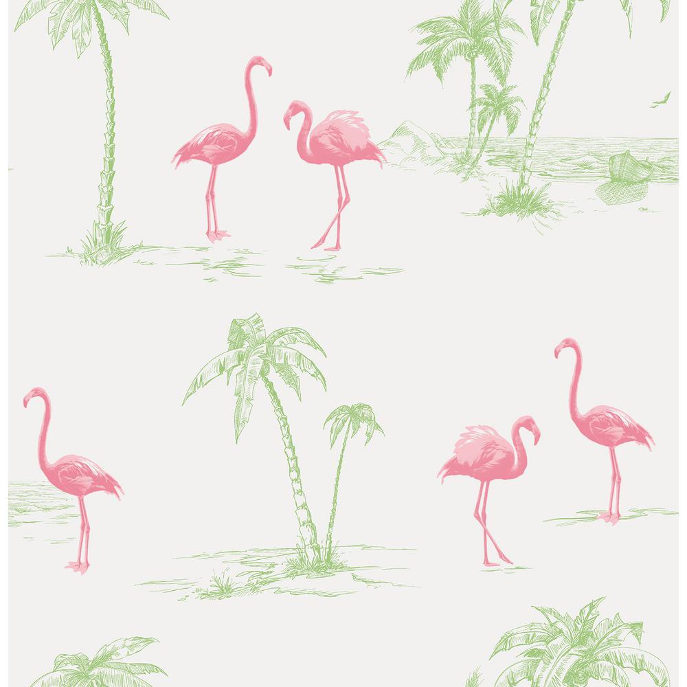 1000x1000 Brewster Sarasota Pink Flamingos Wallpaper 2734 24895 Home Depot