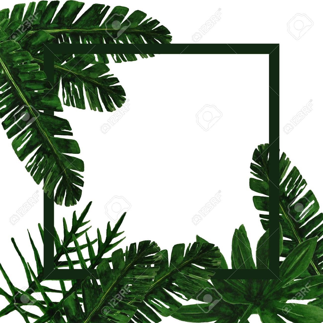 1300x1300 Best Trendy summer tropical leaves Wallpaper design