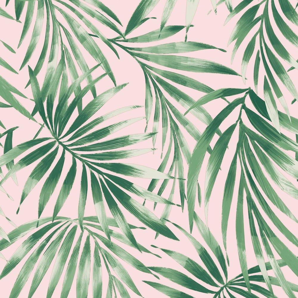 Pink and Green Leaf Wallpapers - Top Free Pink and Green Leaf Backgrounds -  WallpaperAccess