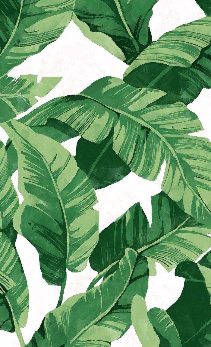 700x1149 society 6