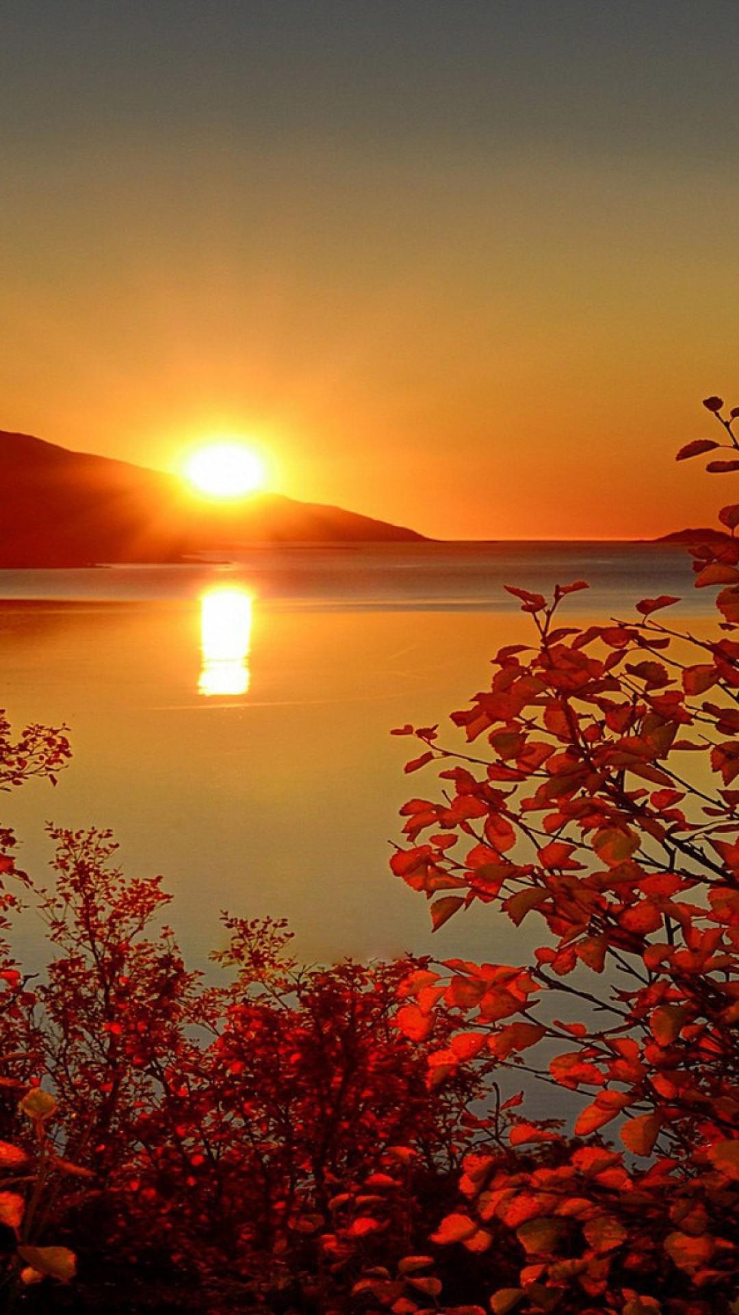 1080x1920 Beautiful Nature Wallpaper for your phone