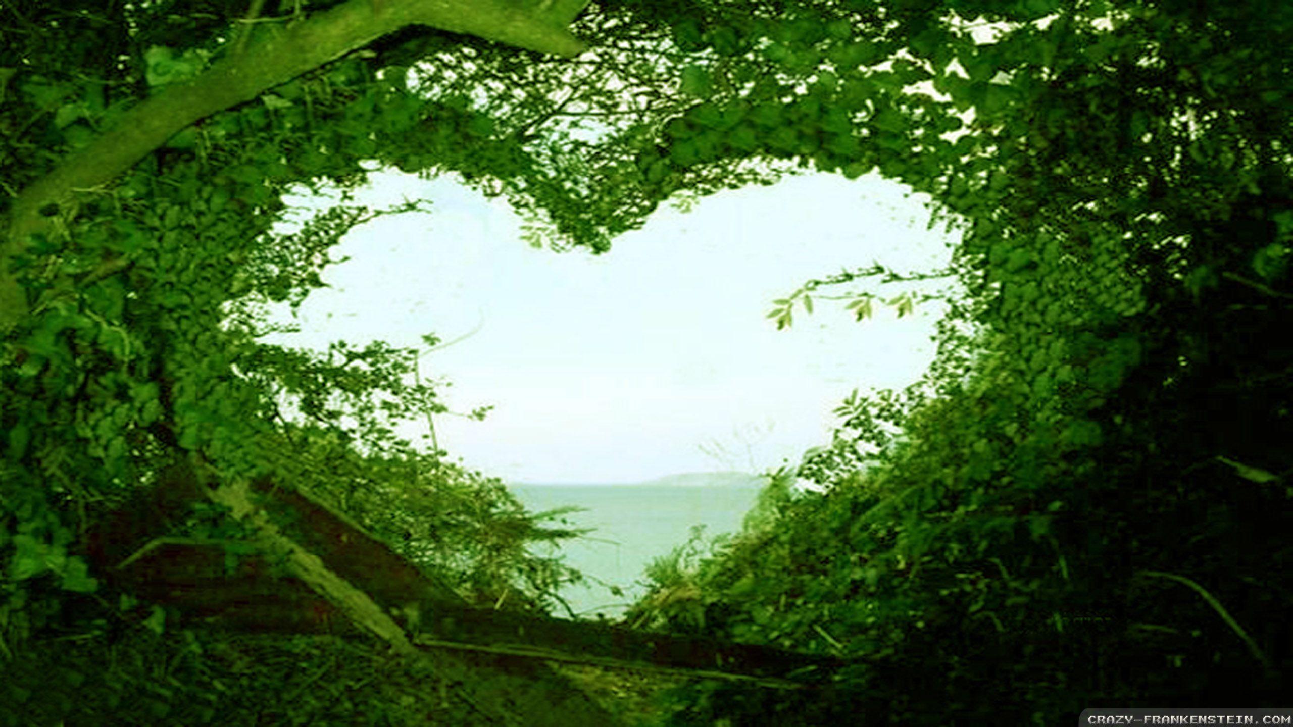 2560x1440 Beautiful Love Nature Wallpaper Hd Desktop Wallpaper Love Nature