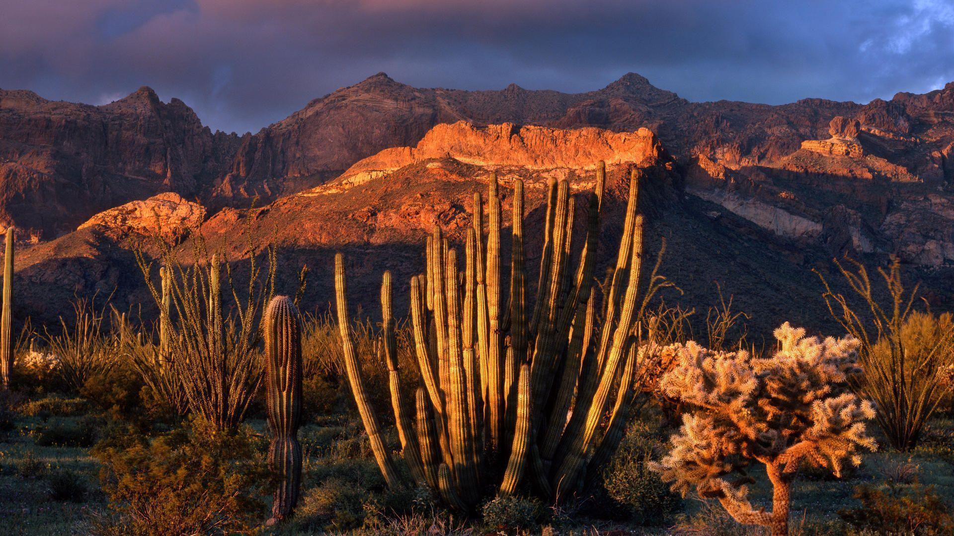 1920x1080 AZ Sunset Wallpaper