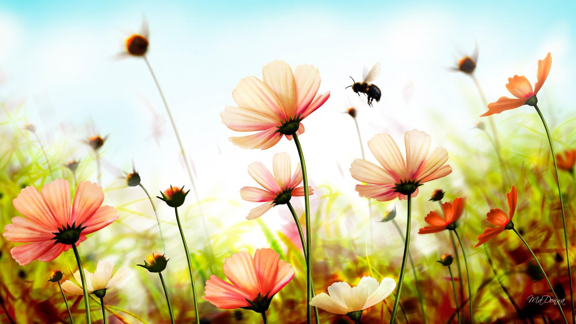Summer Flowers Desktop Wallpapers - Top Free Summer Flowers Desktop  Backgrounds - WallpaperAccess