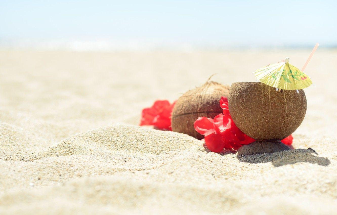 1332x850 Wallpaper sand, sea, beach, summer, the sky, flowers