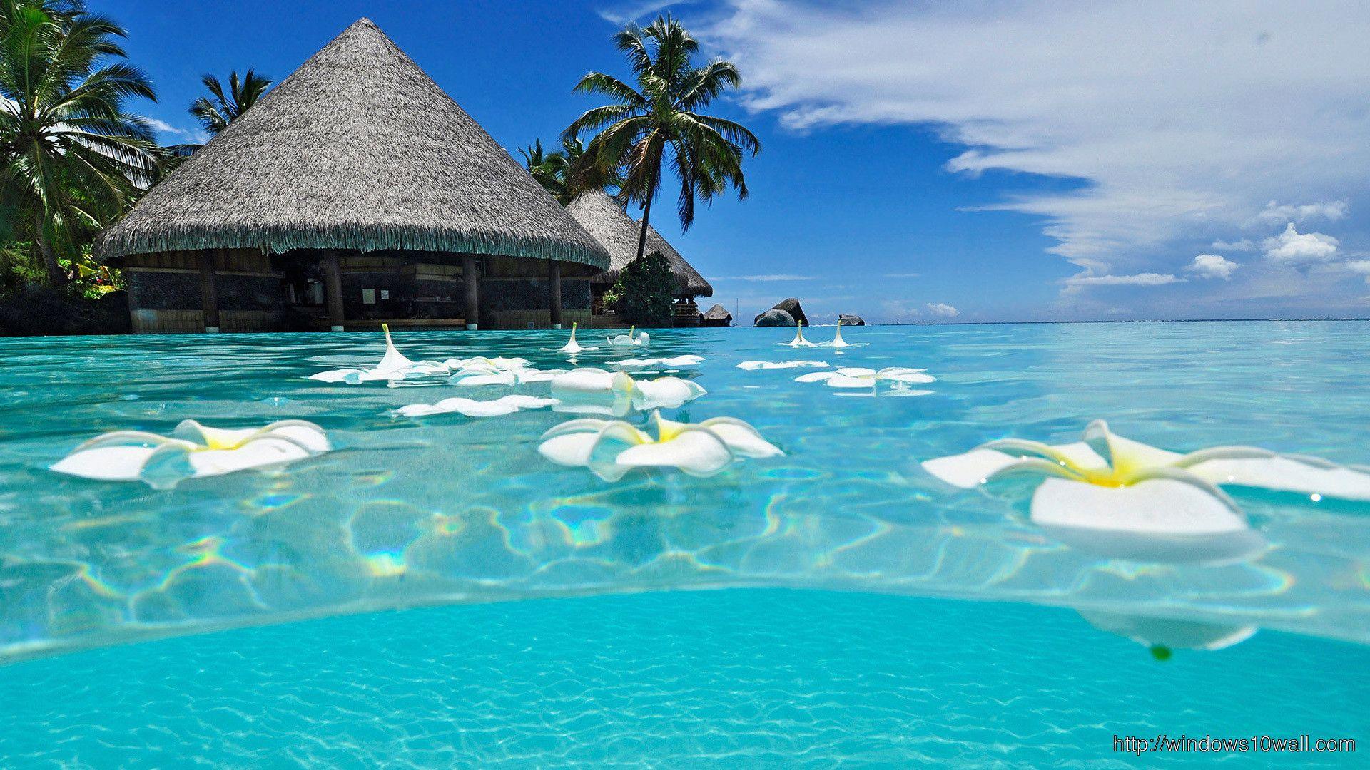 1920x1080 Summer HD Wallpaper