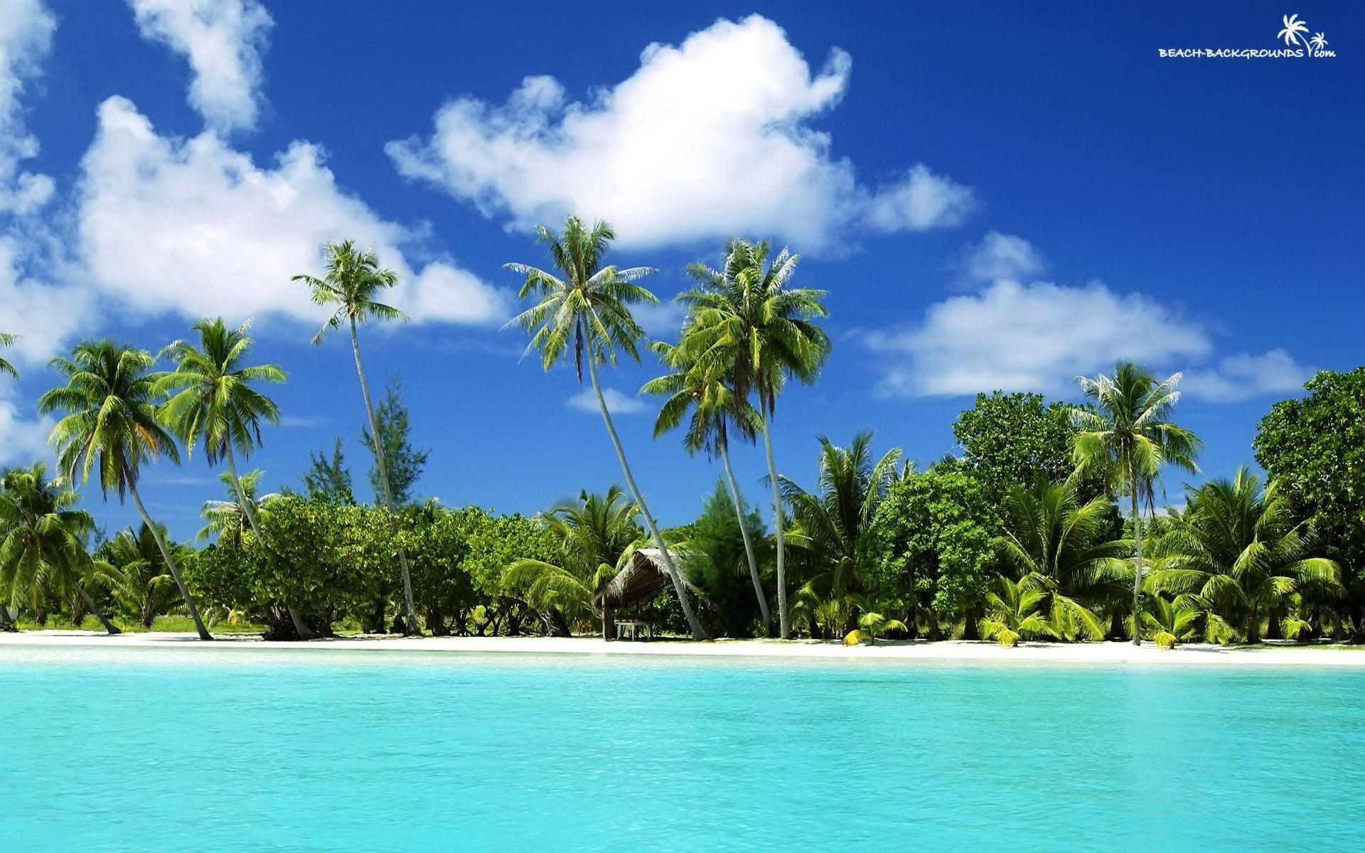 1920x1200 Tropical Beach Wallpaper Desktop