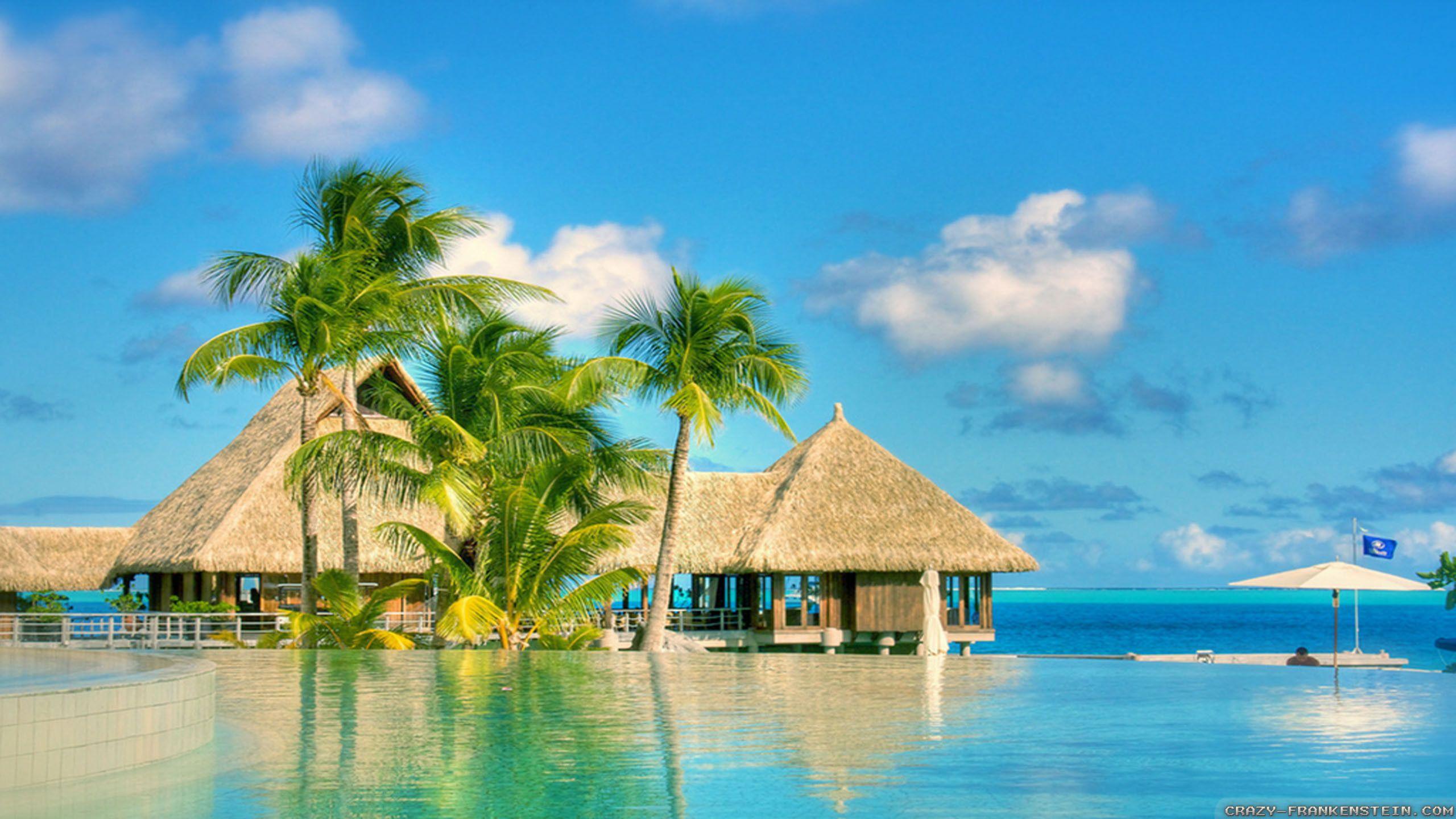 2560x1440 Cool Summer Background