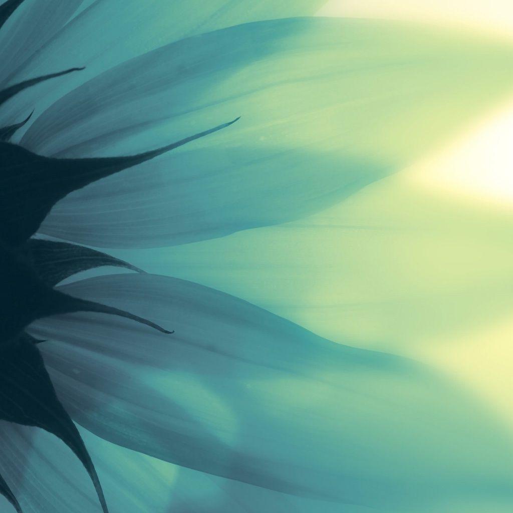 1024x1024 Cool Summer Wallpaper HD Wallpaper Collections