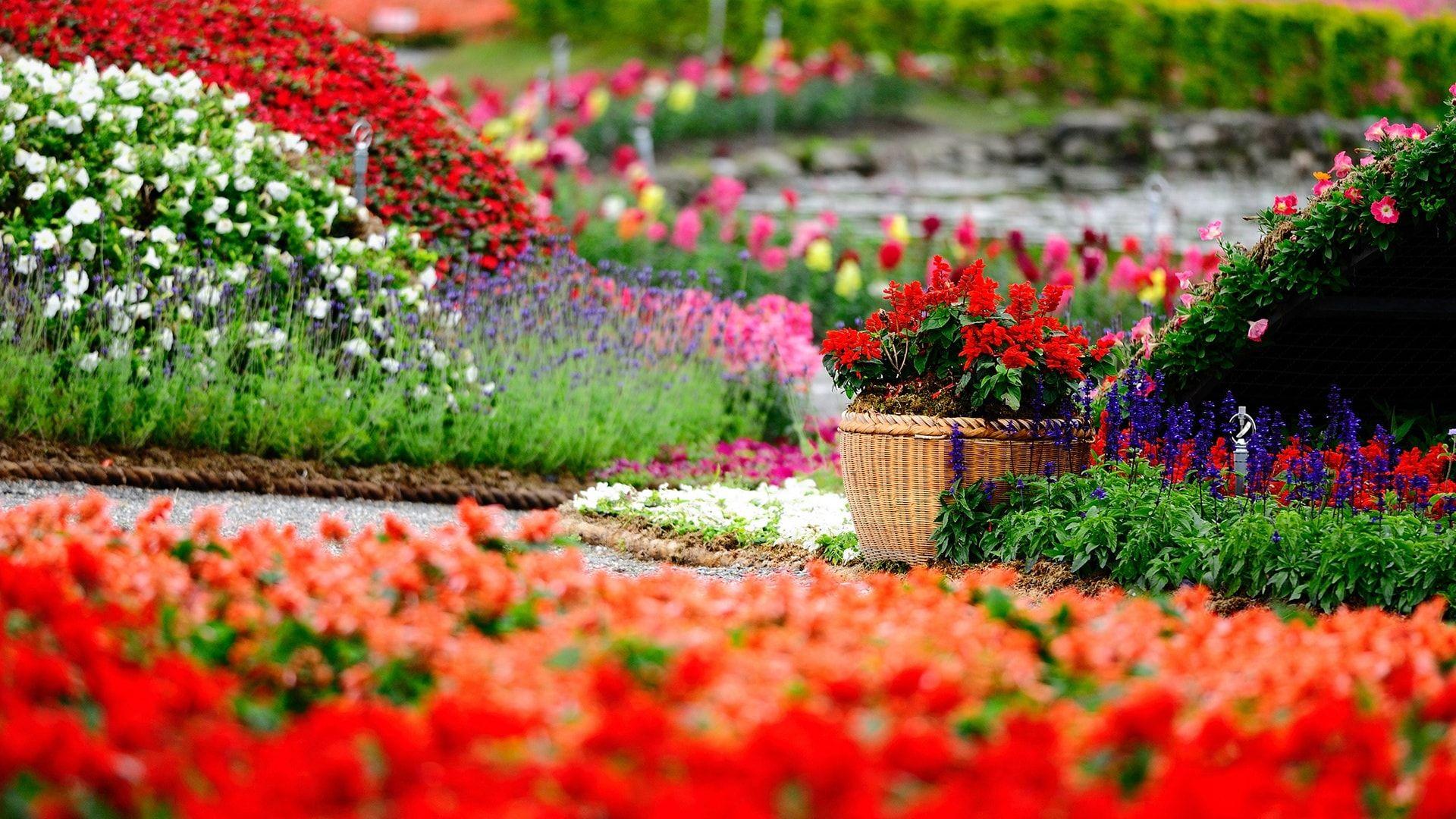 1920x1080 Spring Wallpaper for Your Device Background