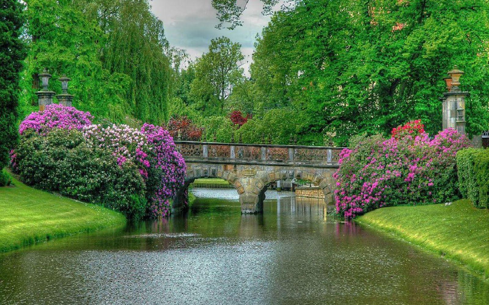1600x1000 Bridge in the Park in Spring Wallpaper