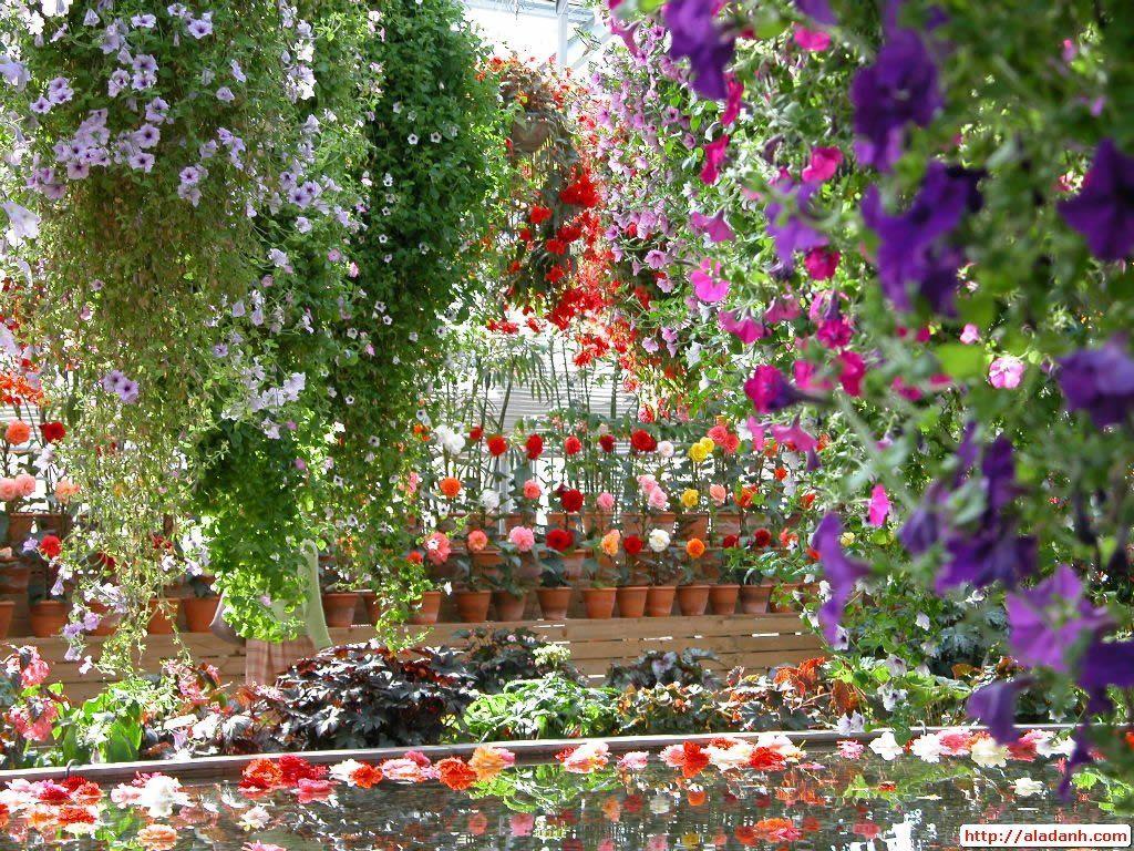 1024x768 image Of Home Flower Gardens