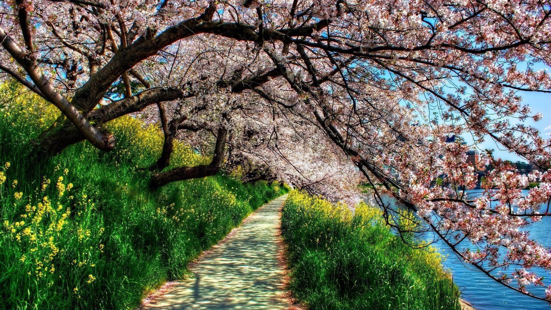 1920x1080 Spring Wallpaper 1920X1080 background picture
