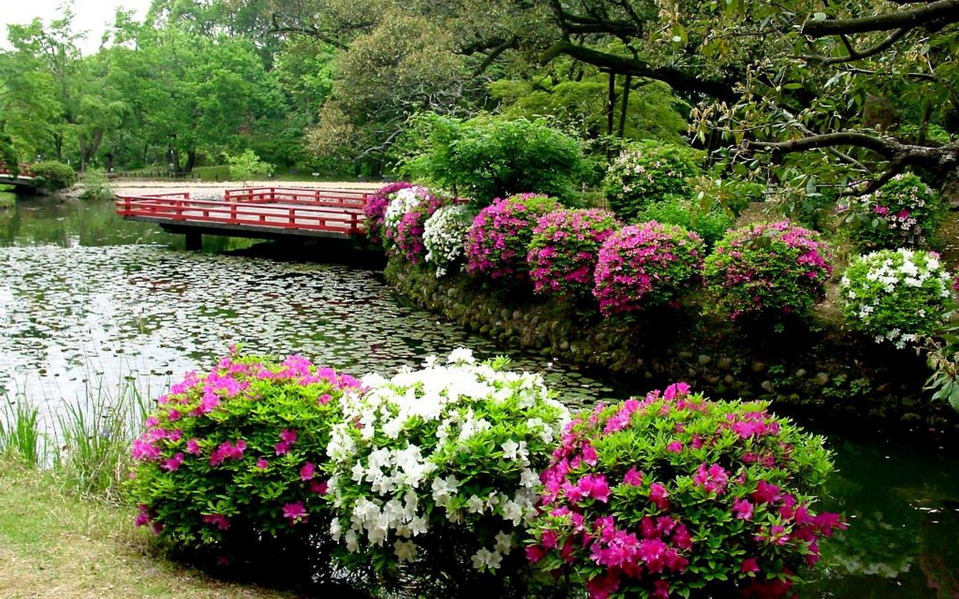 1920x1200 Beautiful Garden Wallpaper