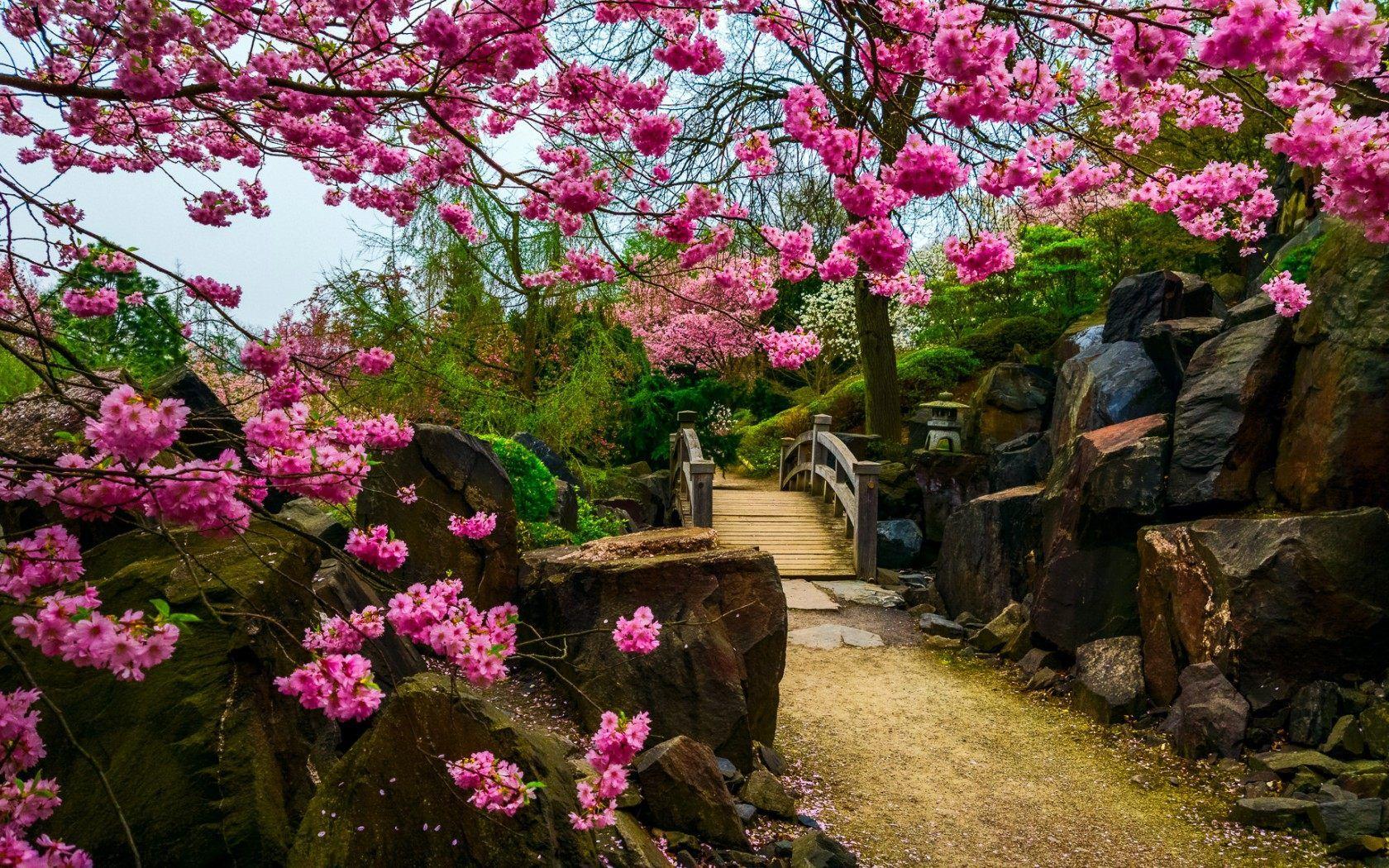 1680x1050 Garden Wallpaper HD