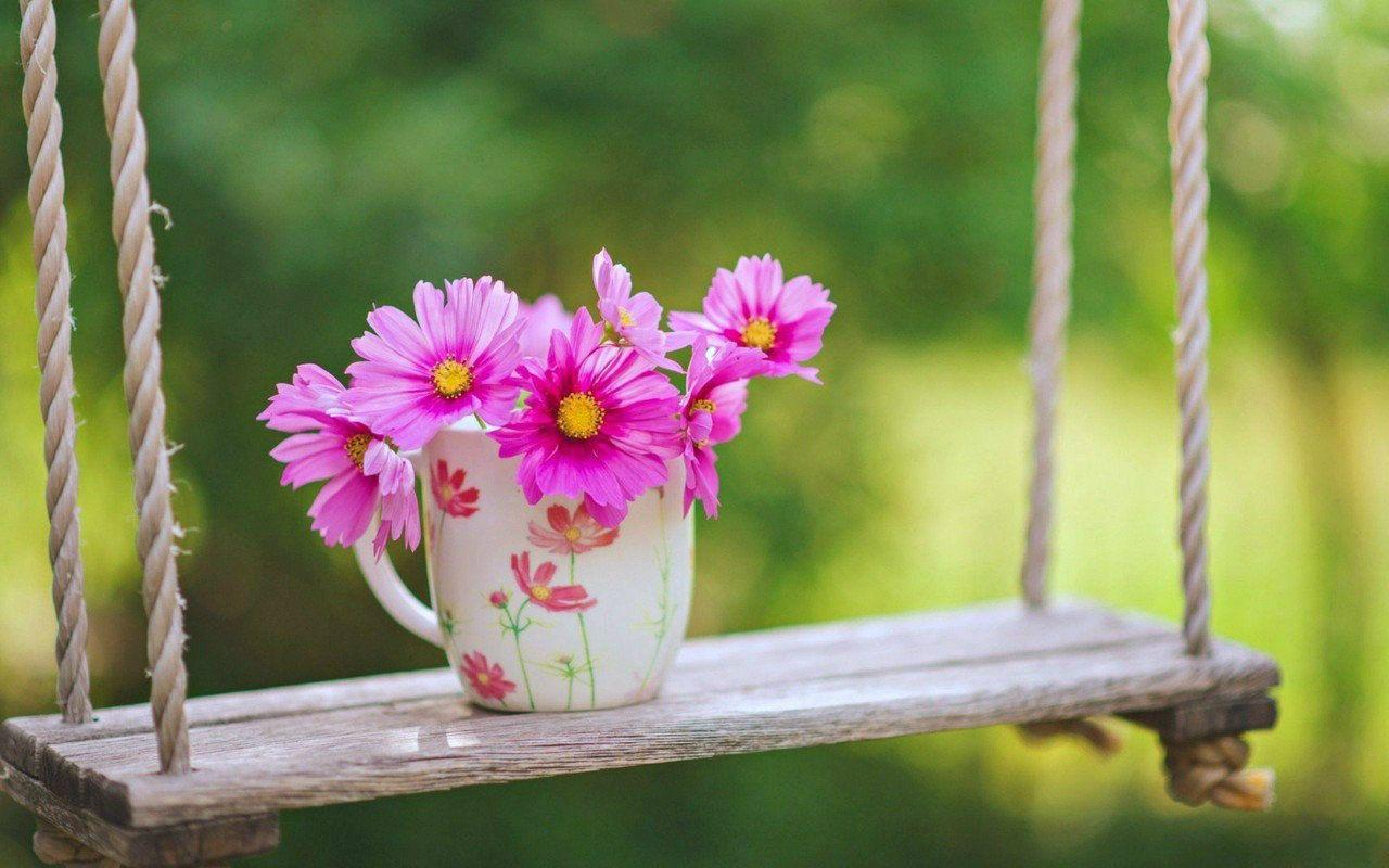 1280x800 Free Desktop Background Spring Flowers