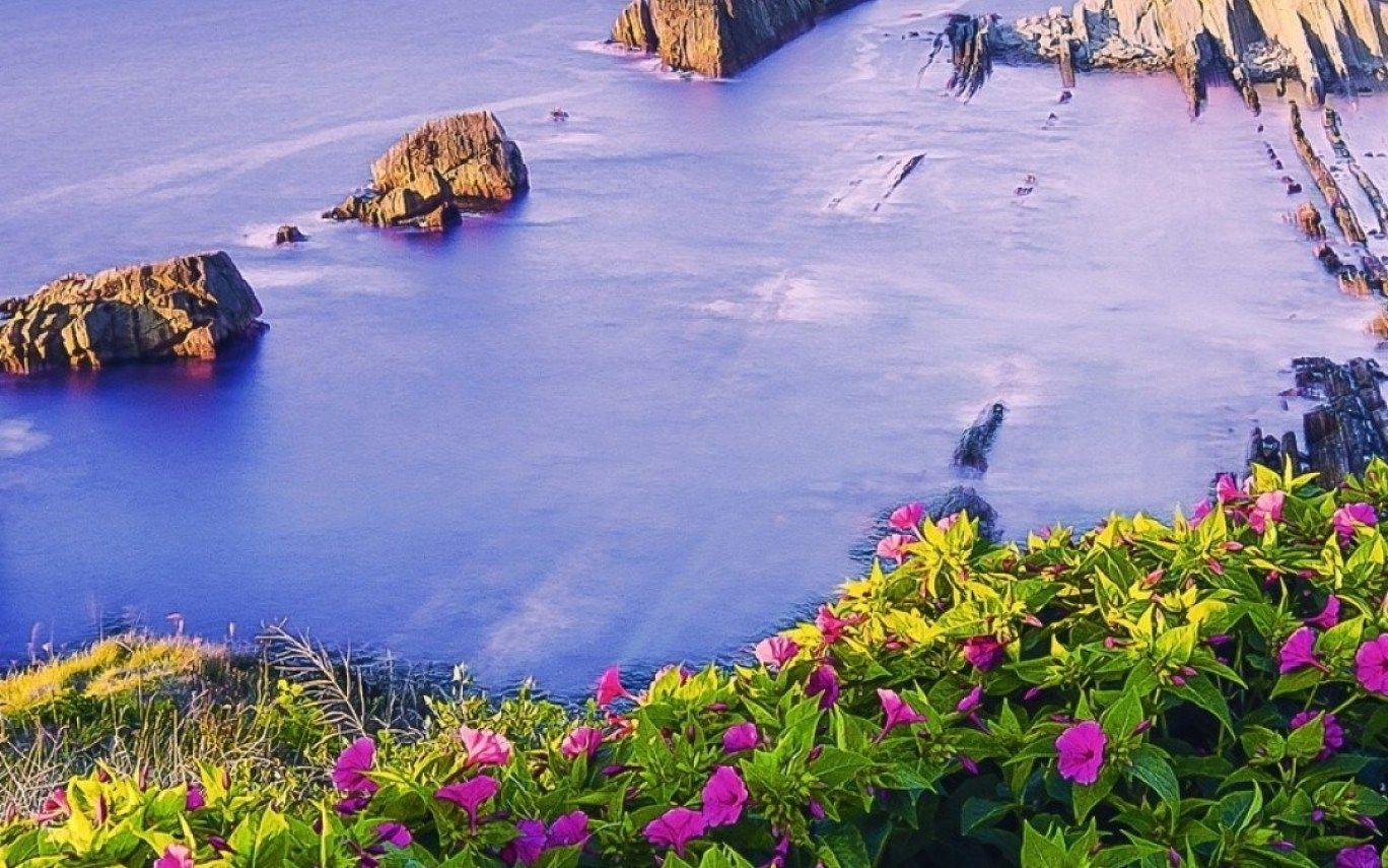 1368x855 Download 1080x1920 Costa Quebrada, Spain, Ocean, Flowers