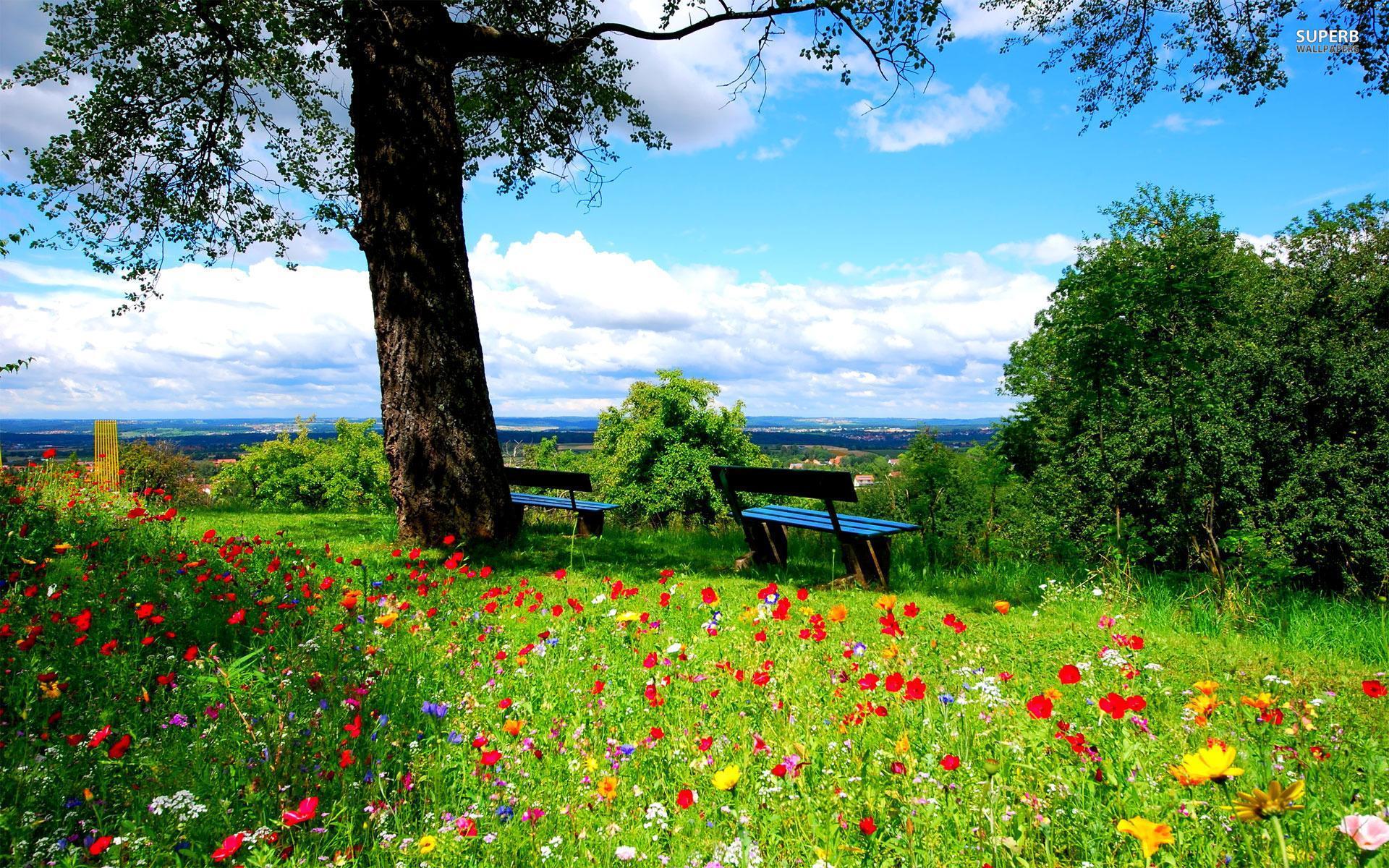 1920x1200 A Beautiful Spring Day HD desktop wallpaper : Widescreen