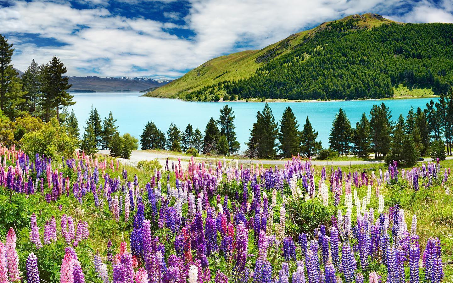1440x900 Download Free 720p Wallpaper Picture Of Spring