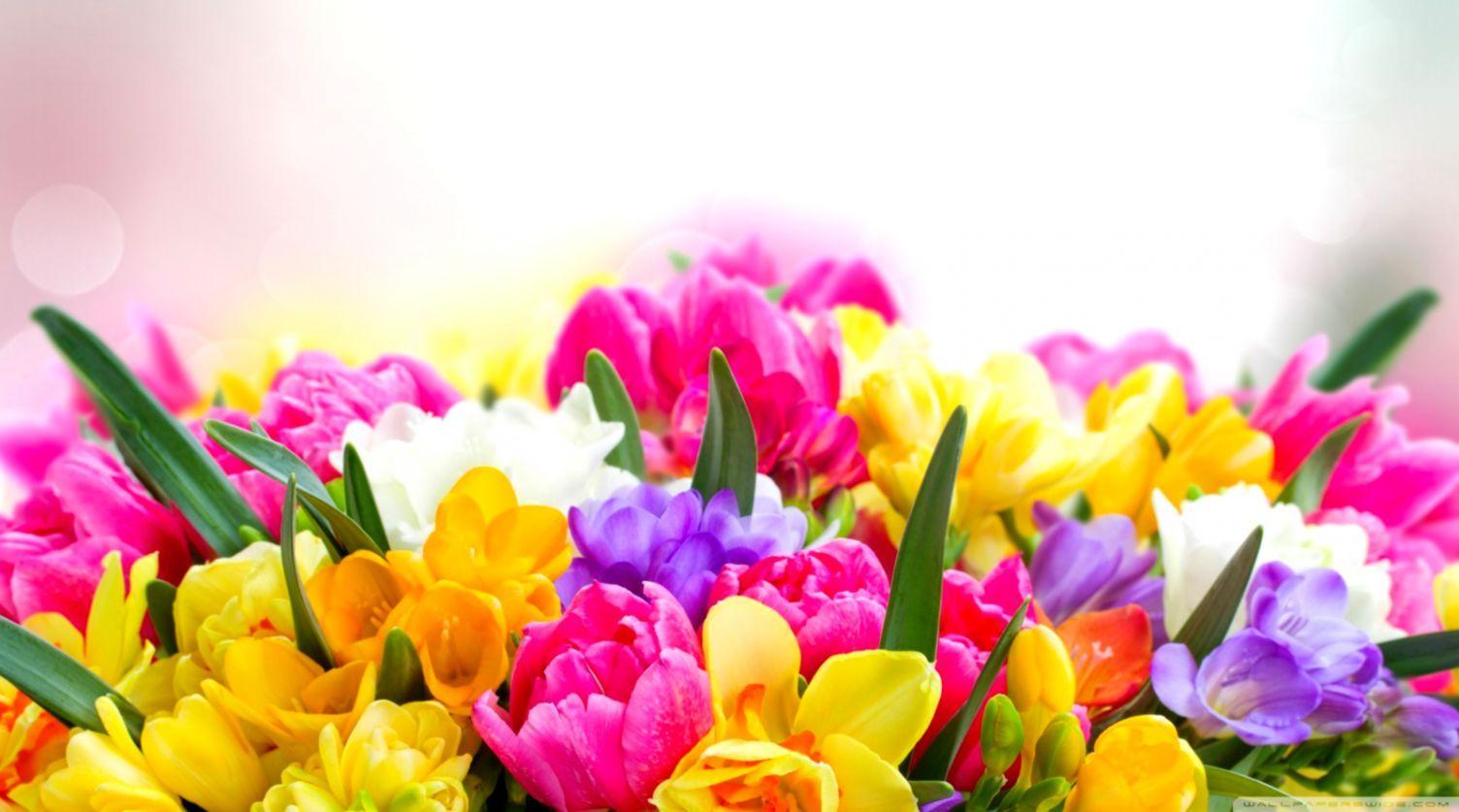 Beautiful Spring Desktop Wallpapers - Top Free Beautiful Spring Desktop ...