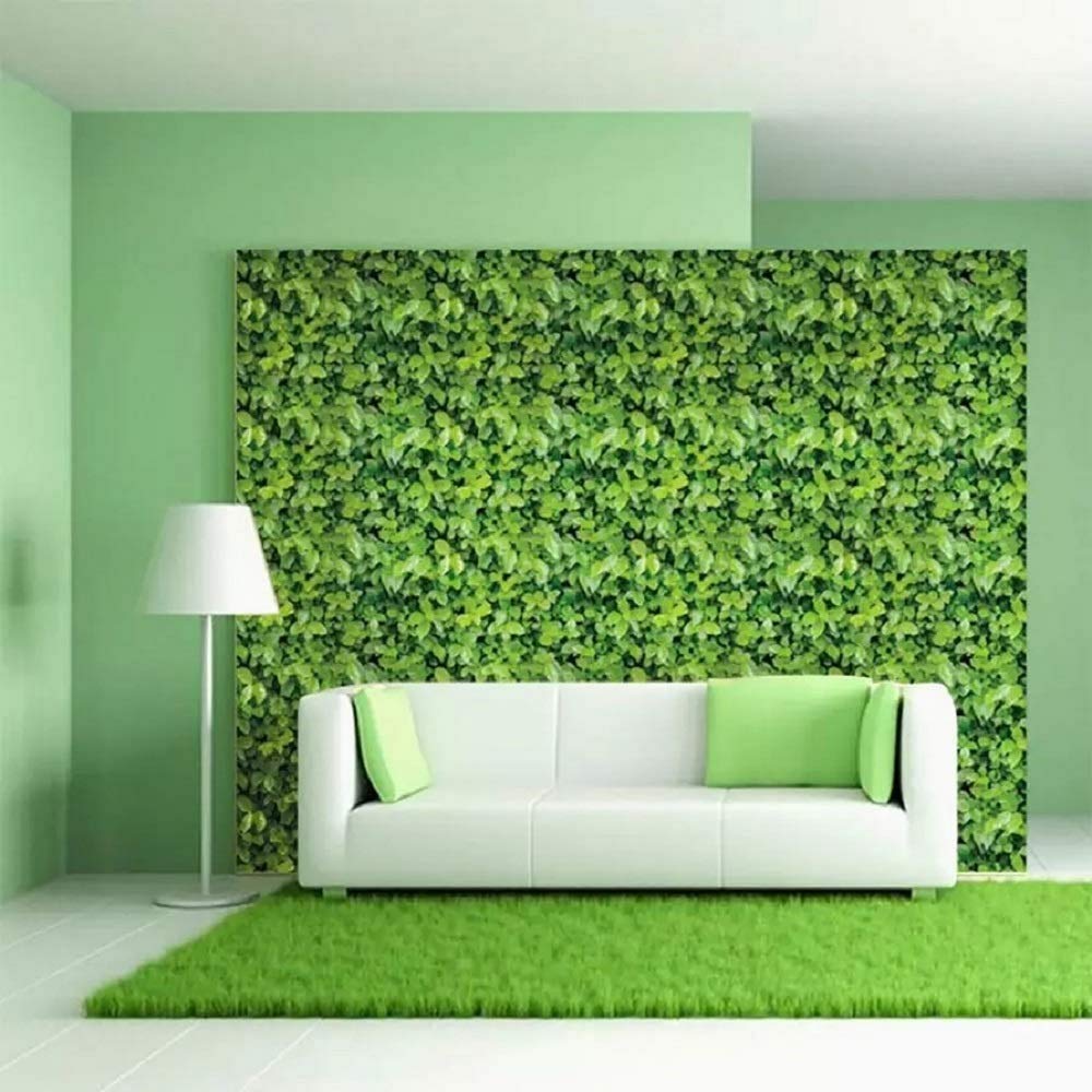 Green Room Wallpapers - Top Free Green Room Backgrounds - WallpaperAccess