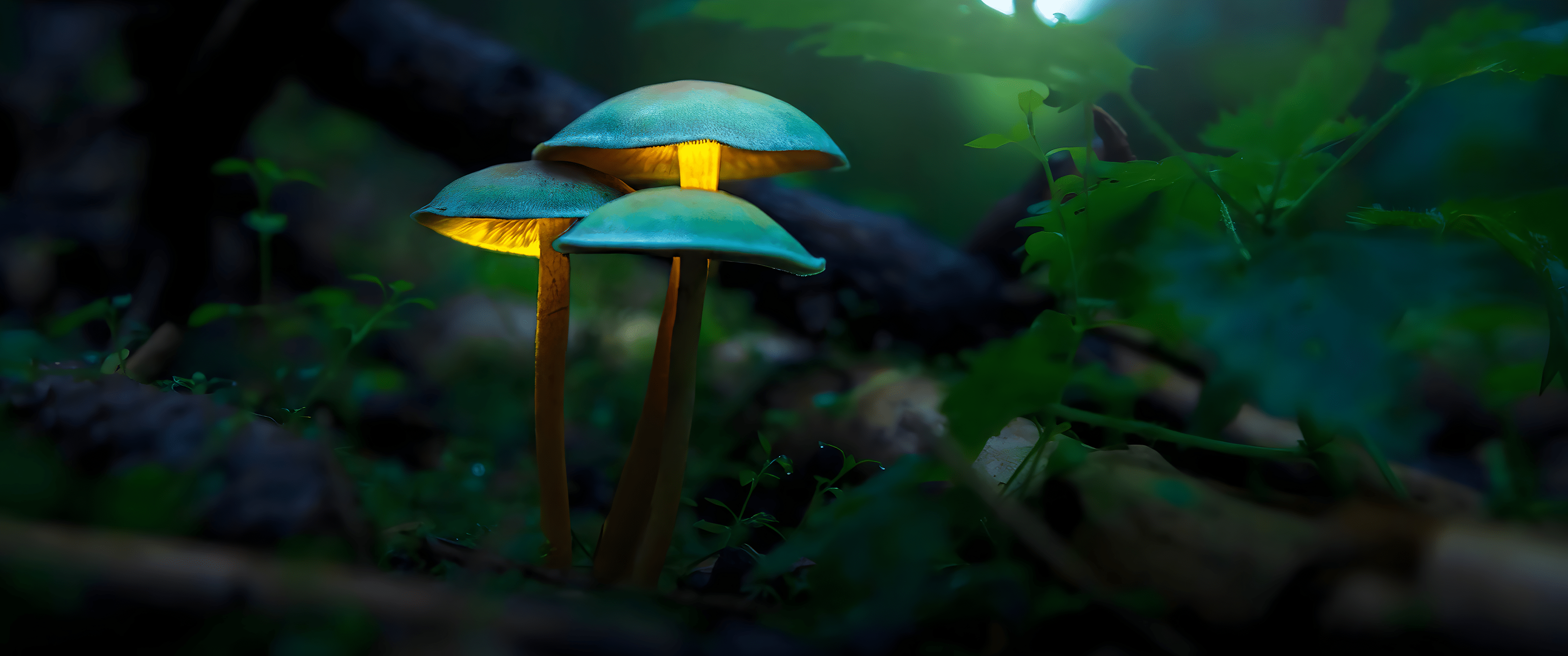 3440x1440 greenx1440 Wallpaper