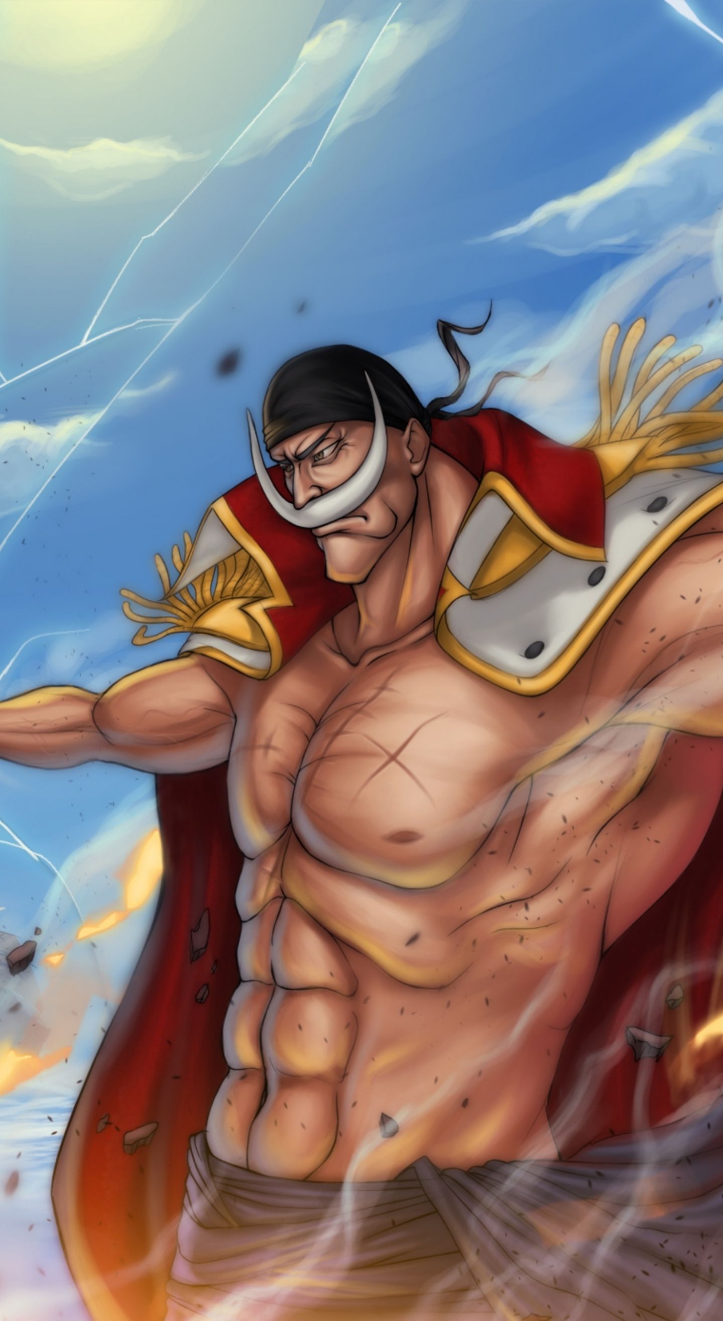 1440x2630 Download wallpaper 1440x2630 whitebeard