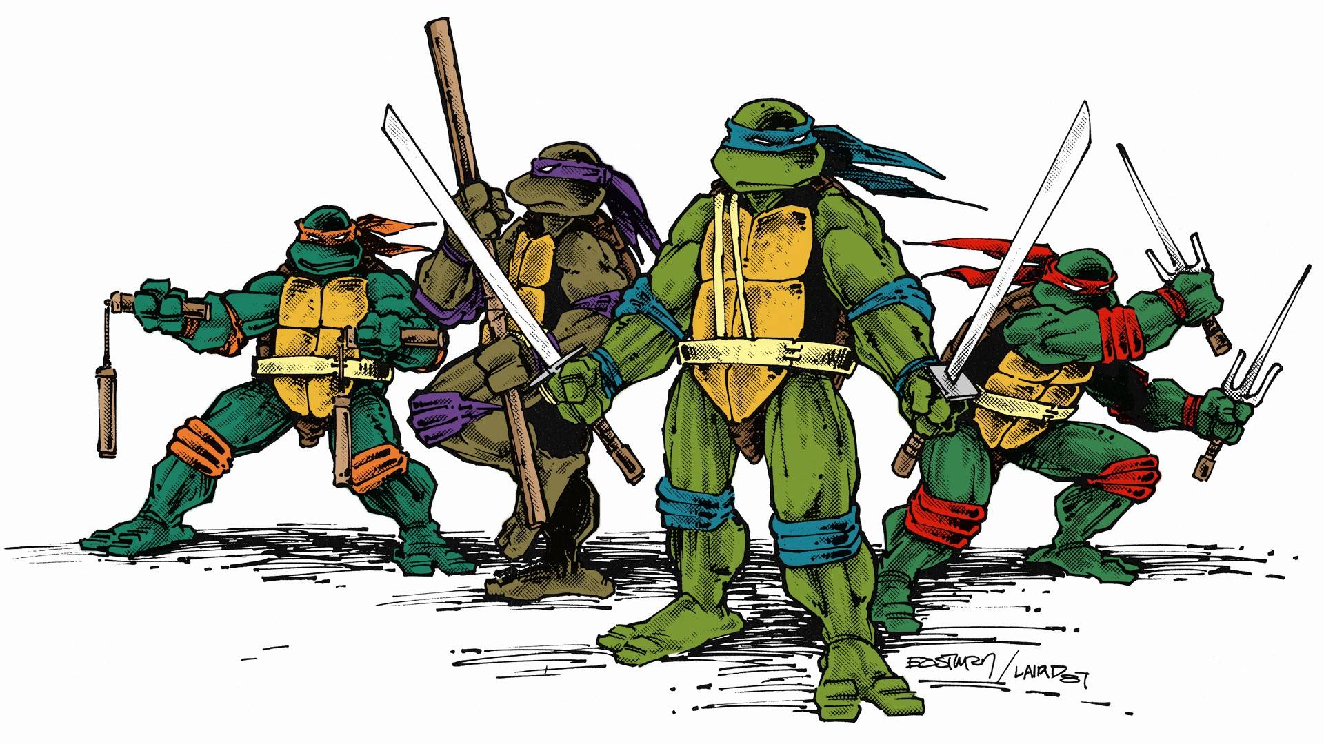 1920x1080 Turtle Wallpaper UBX445 for PC & Mac, Laptop, Tablet, Mobile Phone
