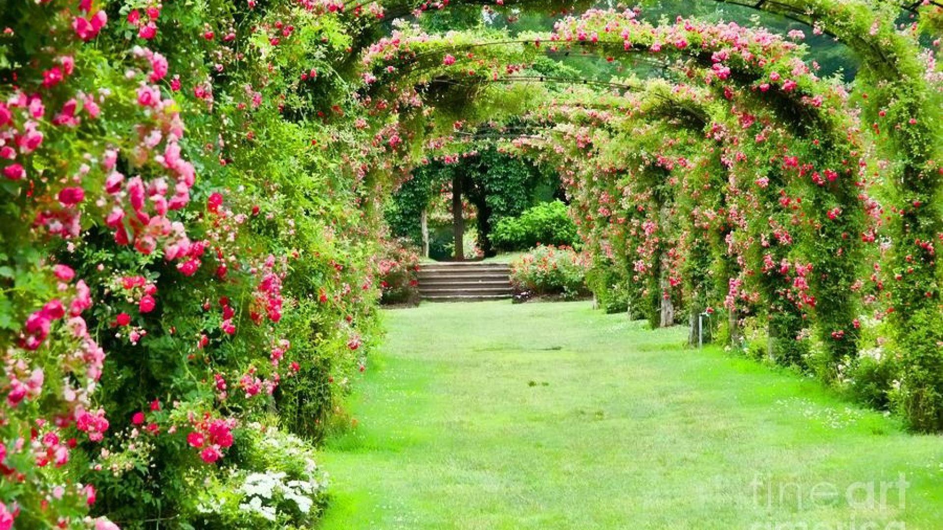 1920x1080 Rose Garden Wallpaper (the best image in 2018)